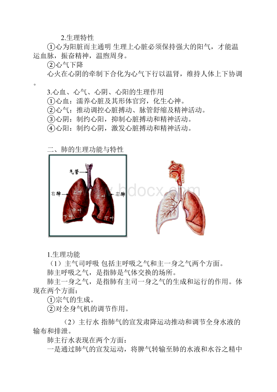 五 脏讲义.docx_第2页