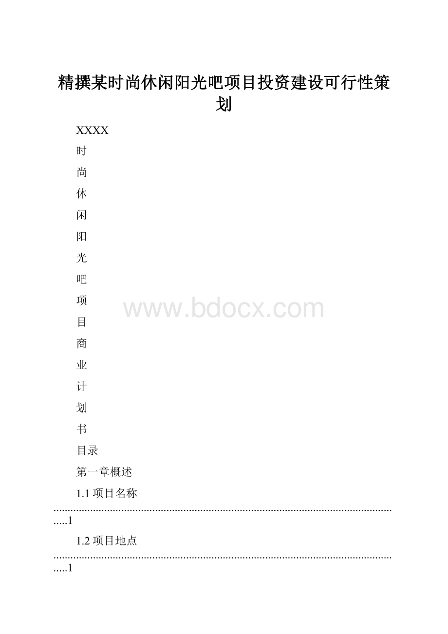 精撰某时尚休闲阳光吧项目投资建设可行性策划.docx