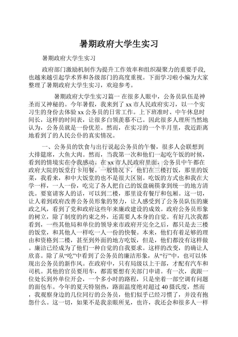 暑期政府大学生实习.docx