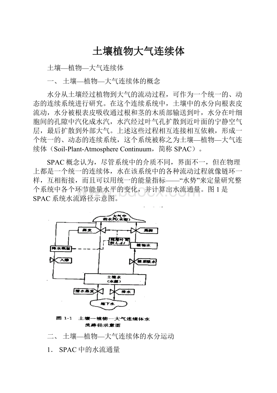 土壤植物大气连续体.docx_第1页