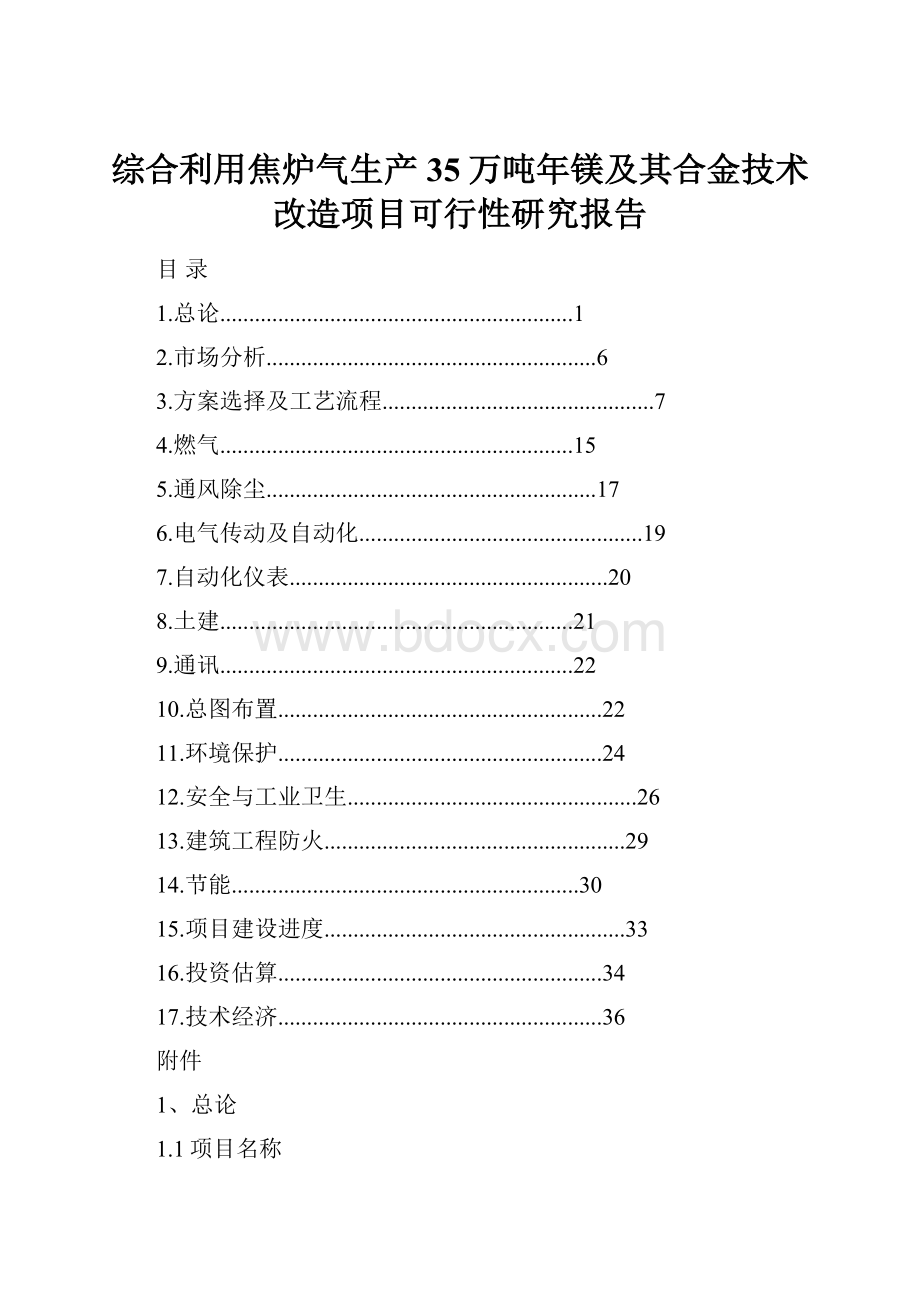 综合利用焦炉气生产35万吨年镁及其合金技术改造项目可行性研究报告.docx_第1页