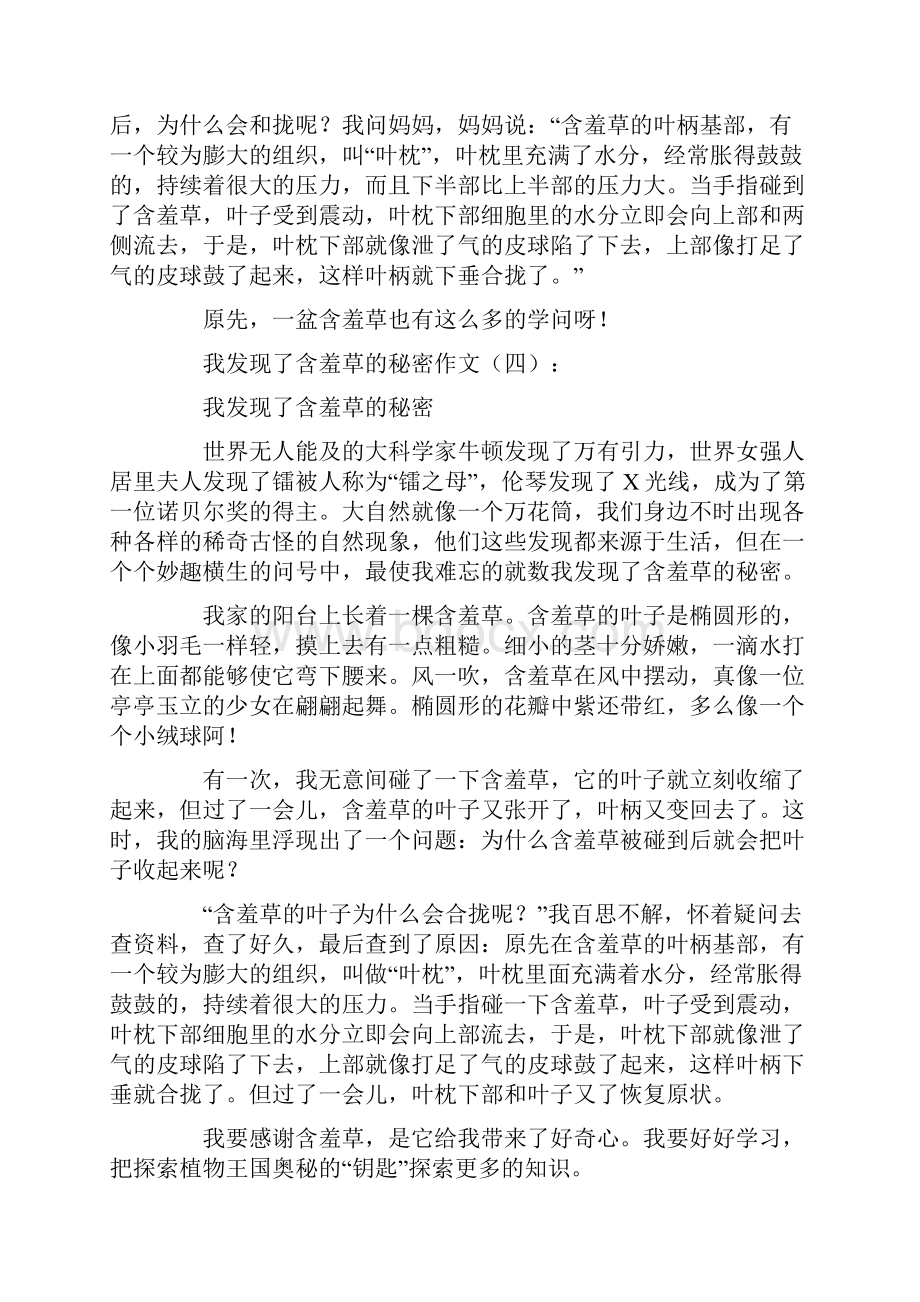 我发现了含羞草的秘密.docx_第3页