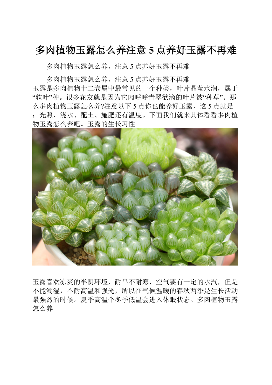 多肉植物玉露怎么养注意5点养好玉露不再难.docx