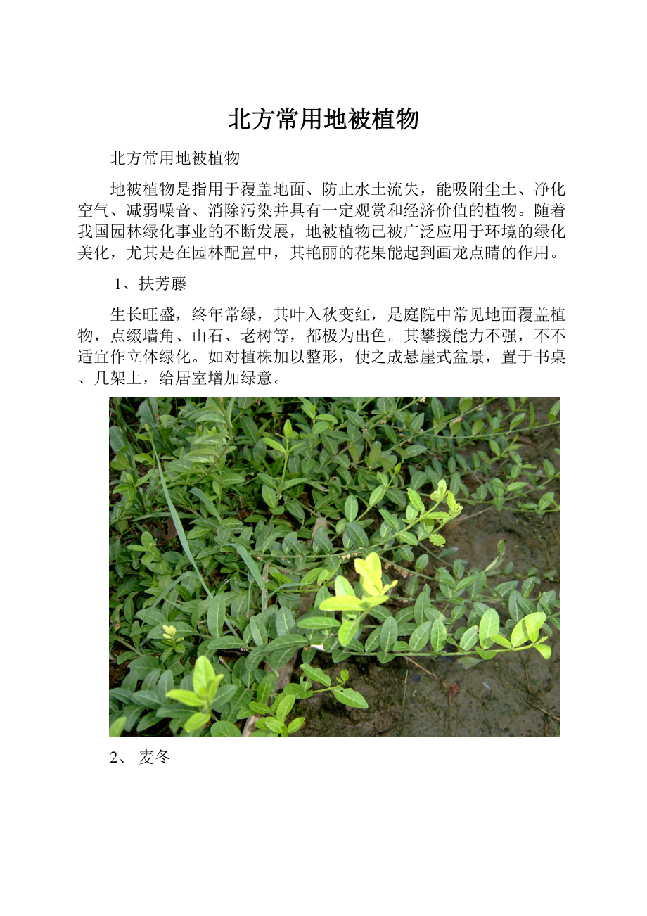 北方常用地被植物.docx_第1页