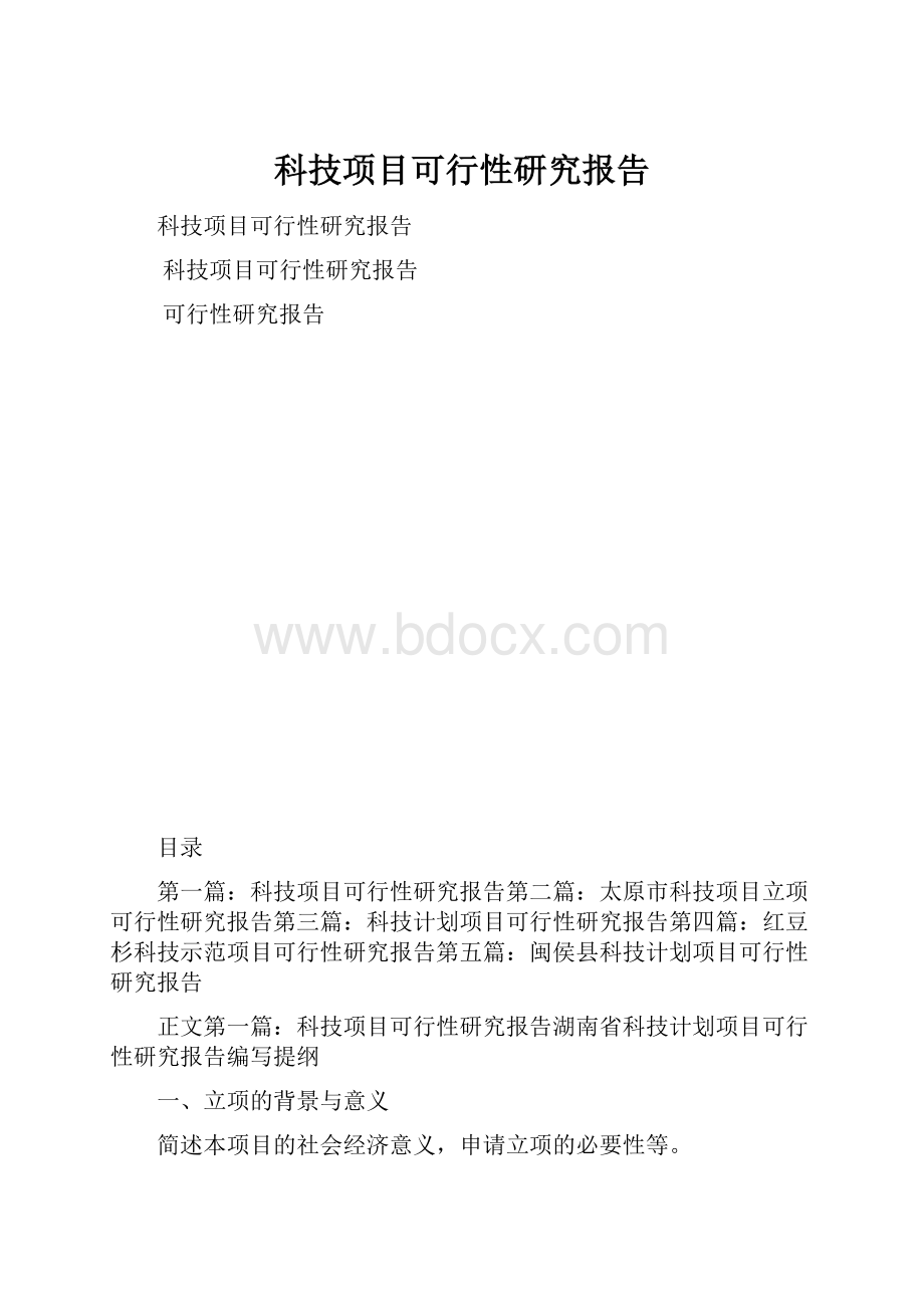 科技项目可行性研究报告.docx