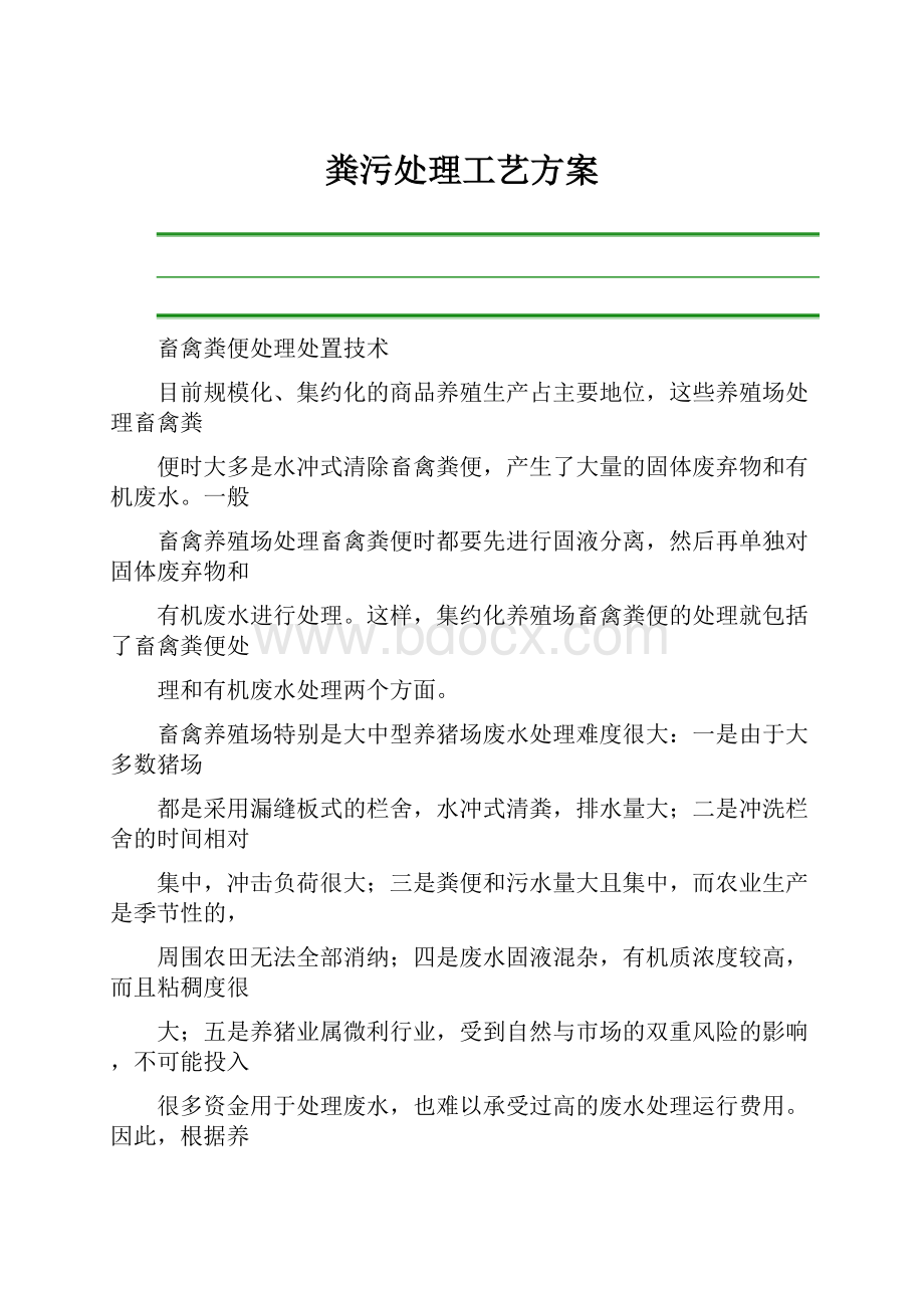 粪污处理工艺方案.docx