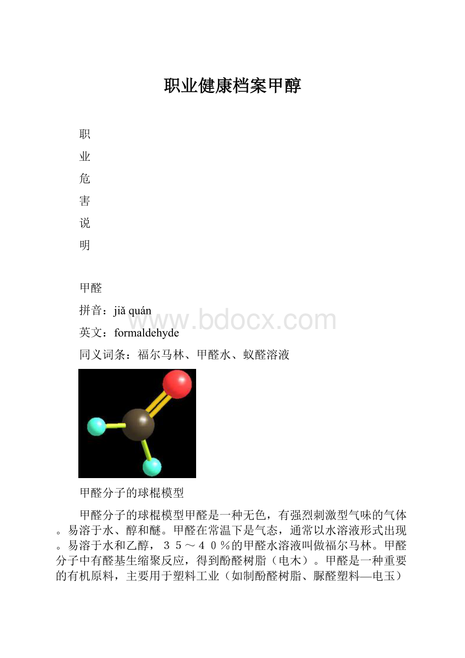 职业健康档案甲醇.docx