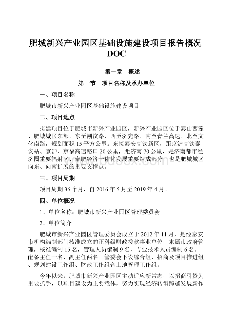 肥城新兴产业园区基础设施建设项目报告概况DOC.docx