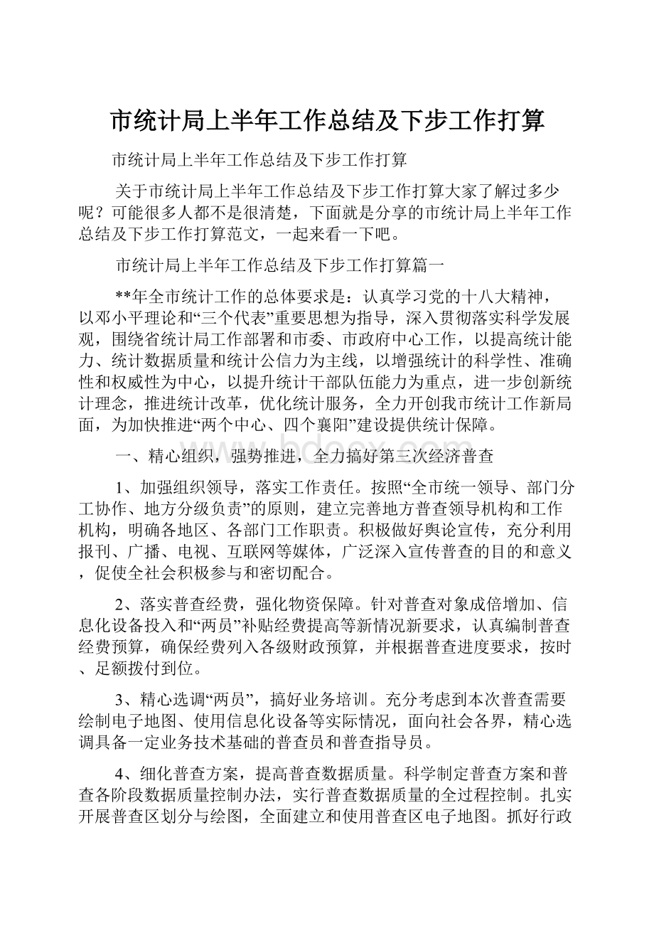 市统计局上半年工作总结及下步工作打算.docx