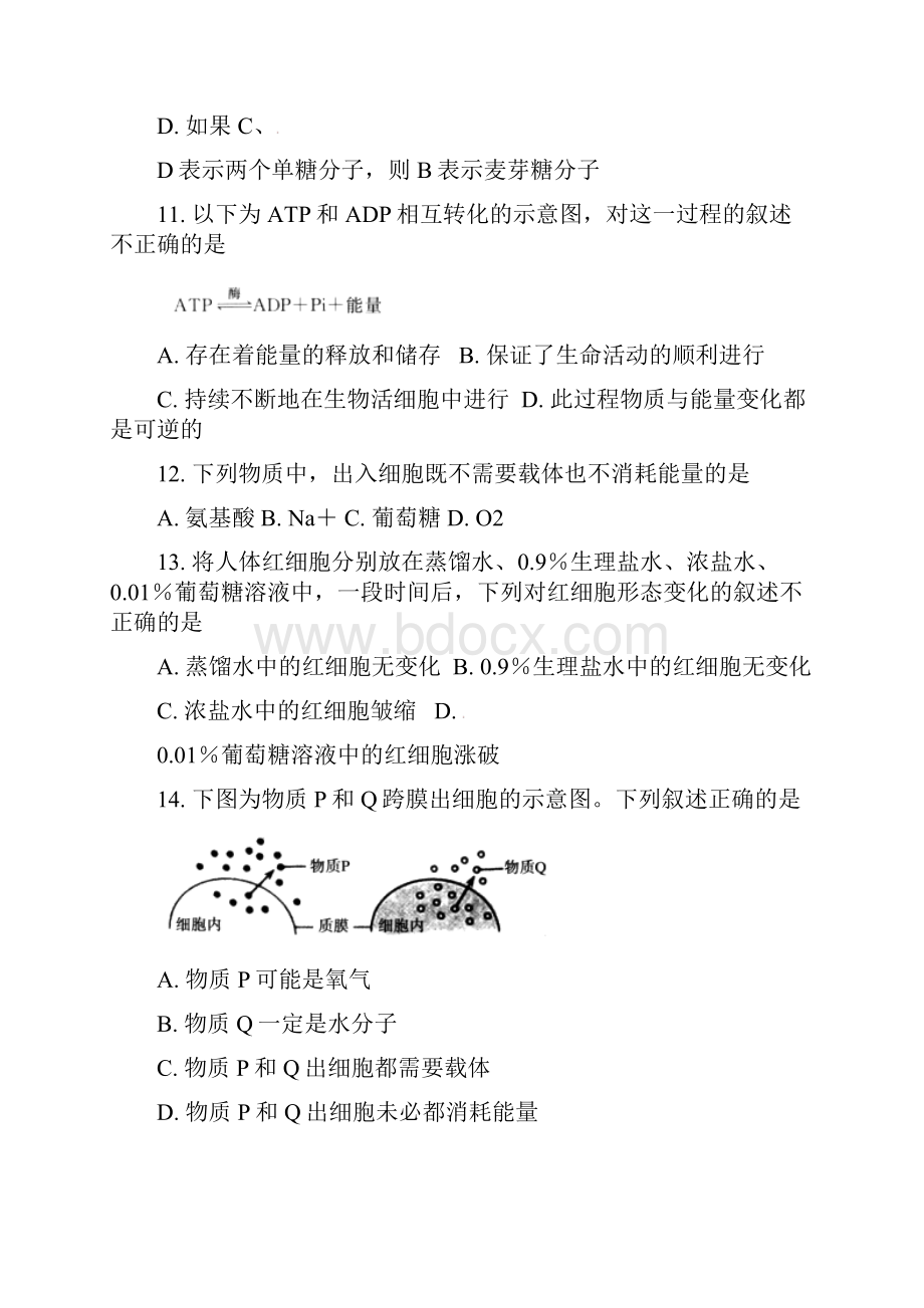 学年高一生物上学期期末考试试题1.docx_第3页