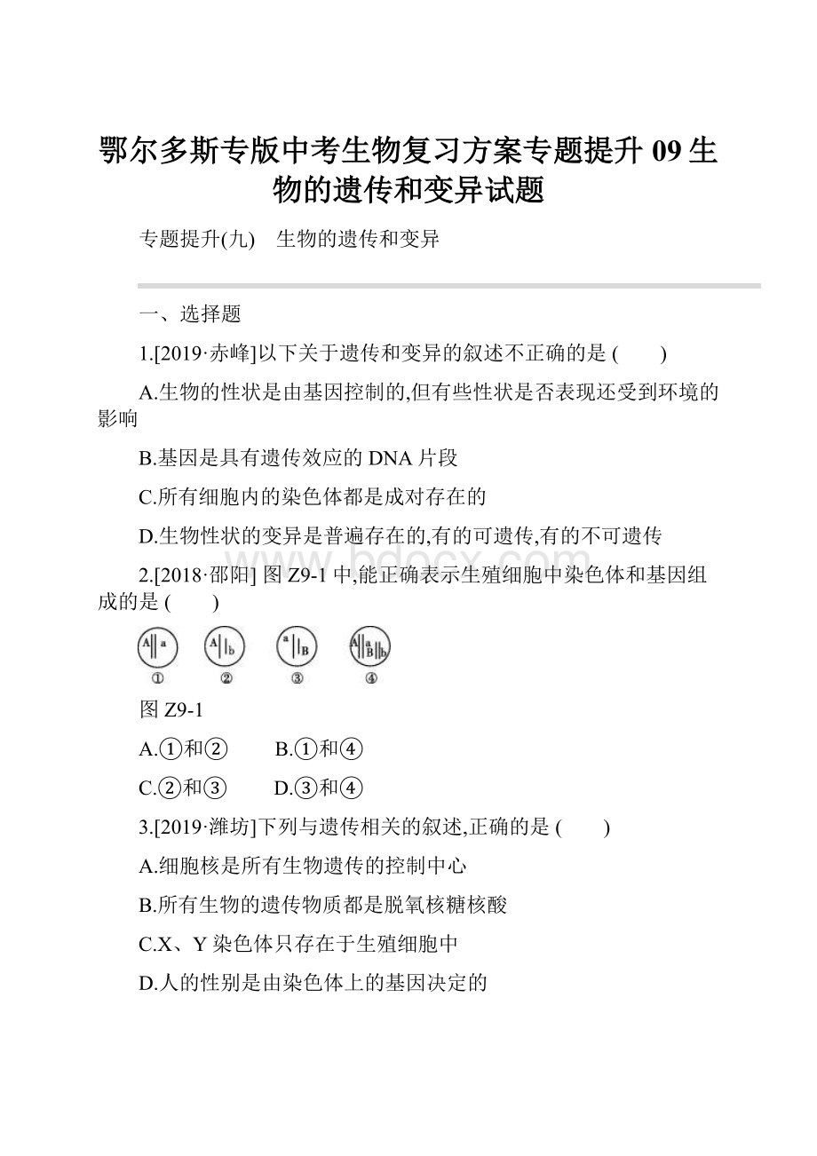 鄂尔多斯专版中考生物复习方案专题提升09生物的遗传和变异试题.docx_第1页