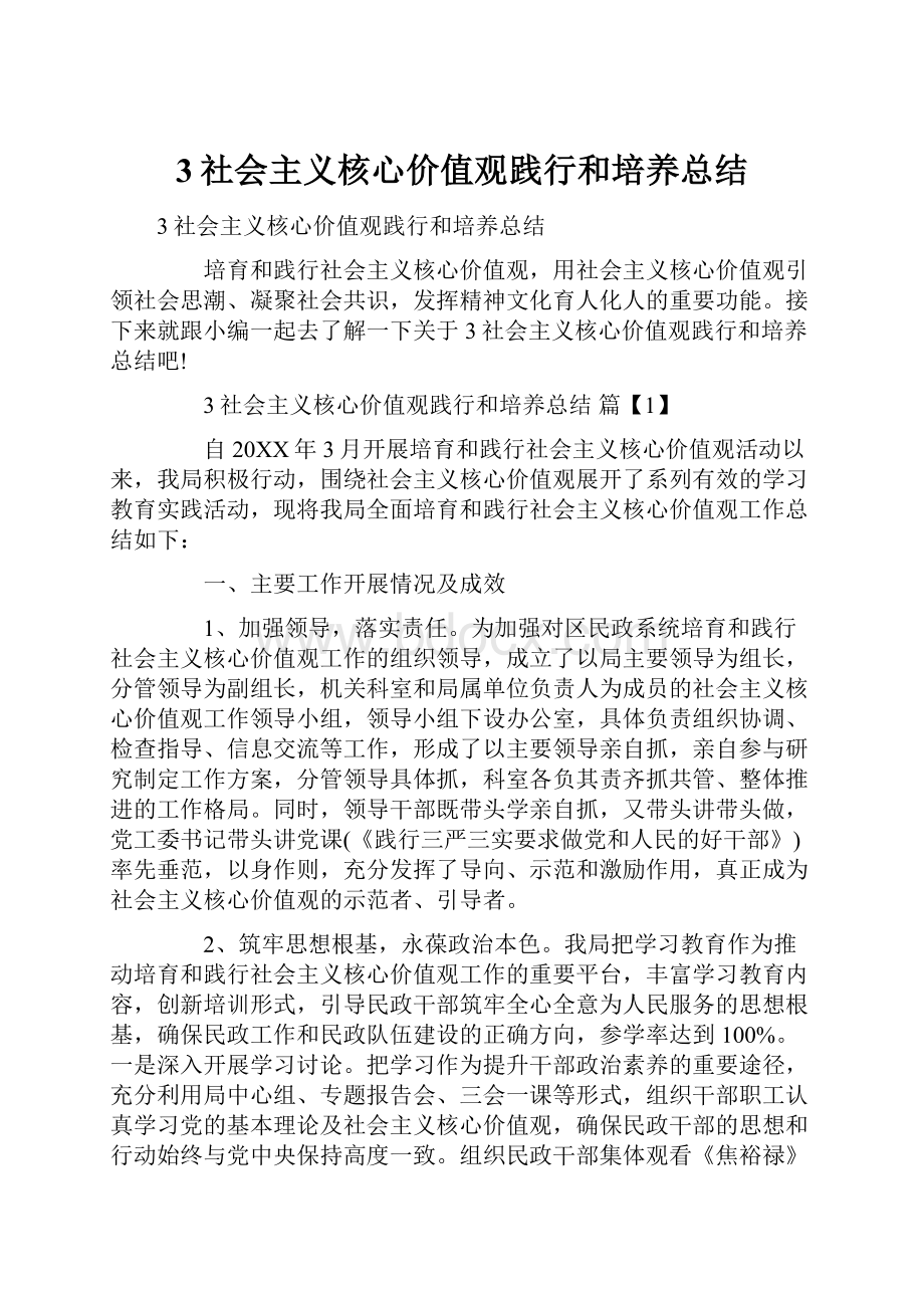 3社会主义核心价值观践行和培养总结.docx