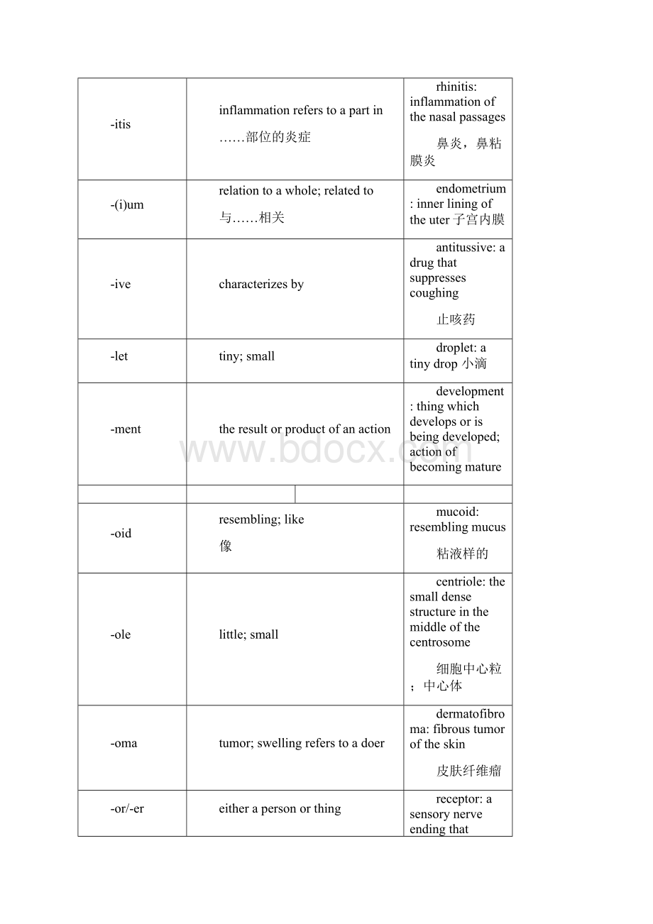 医学英语词根词缀大全.docx_第3页