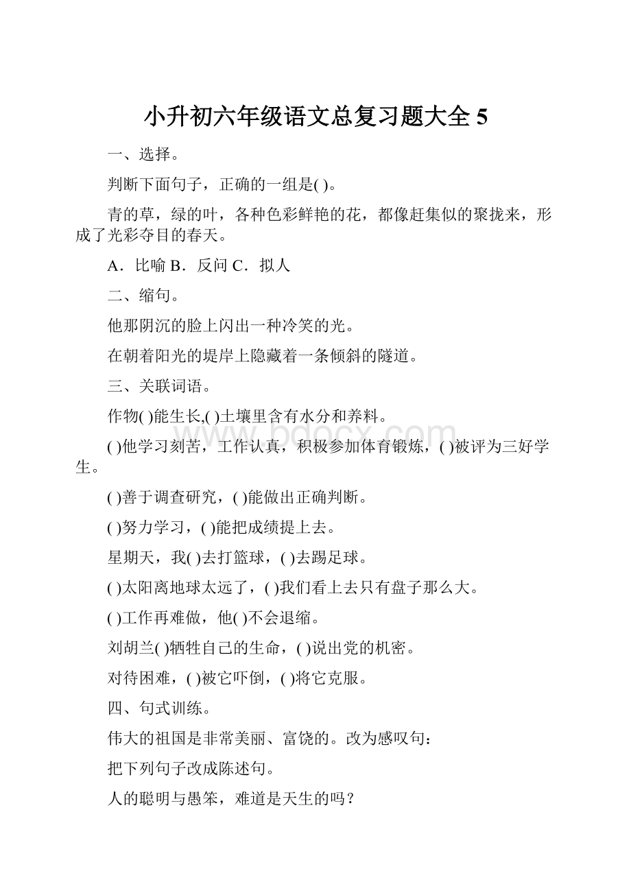 小升初六年级语文总复习题大全5.docx