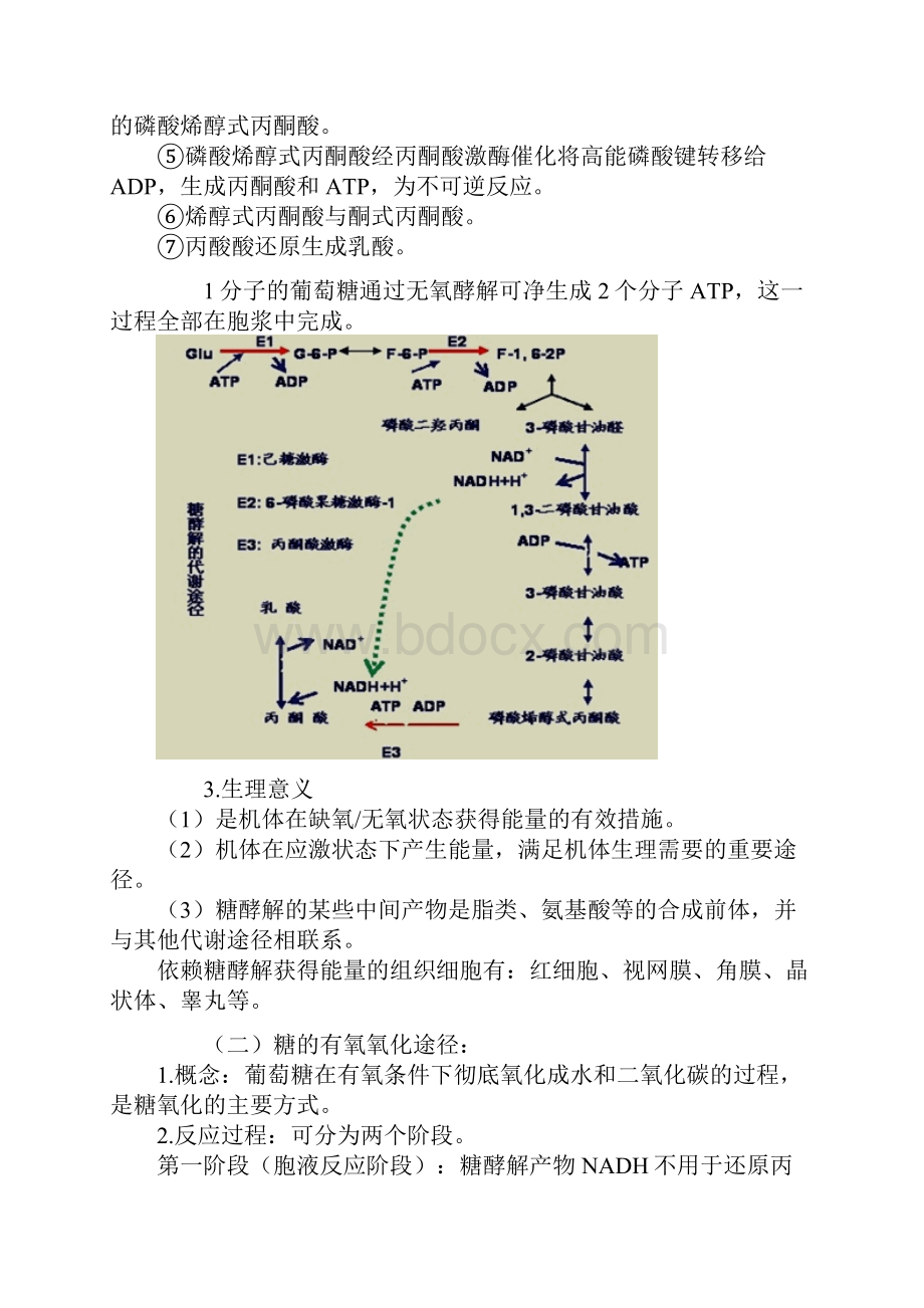 糖代谢紊乱及糖尿病的检查.docx_第2页