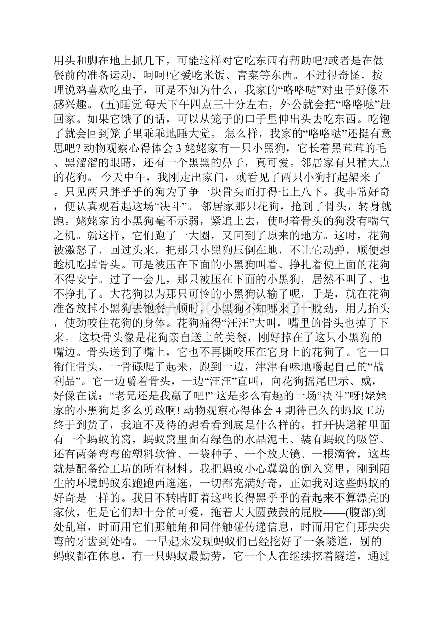 动物观察心得体会10篇.docx_第2页