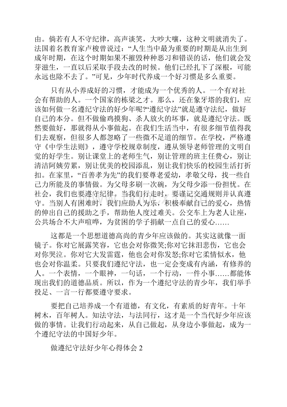 做遵纪守法好少年心得体会1000字.docx_第2页