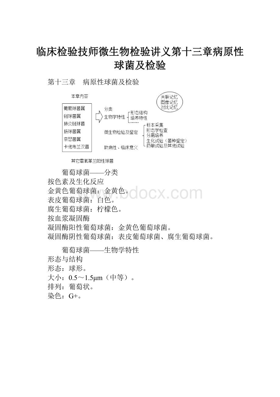 临床检验技师微生物检验讲义第十三章病原性球菌及检验.docx