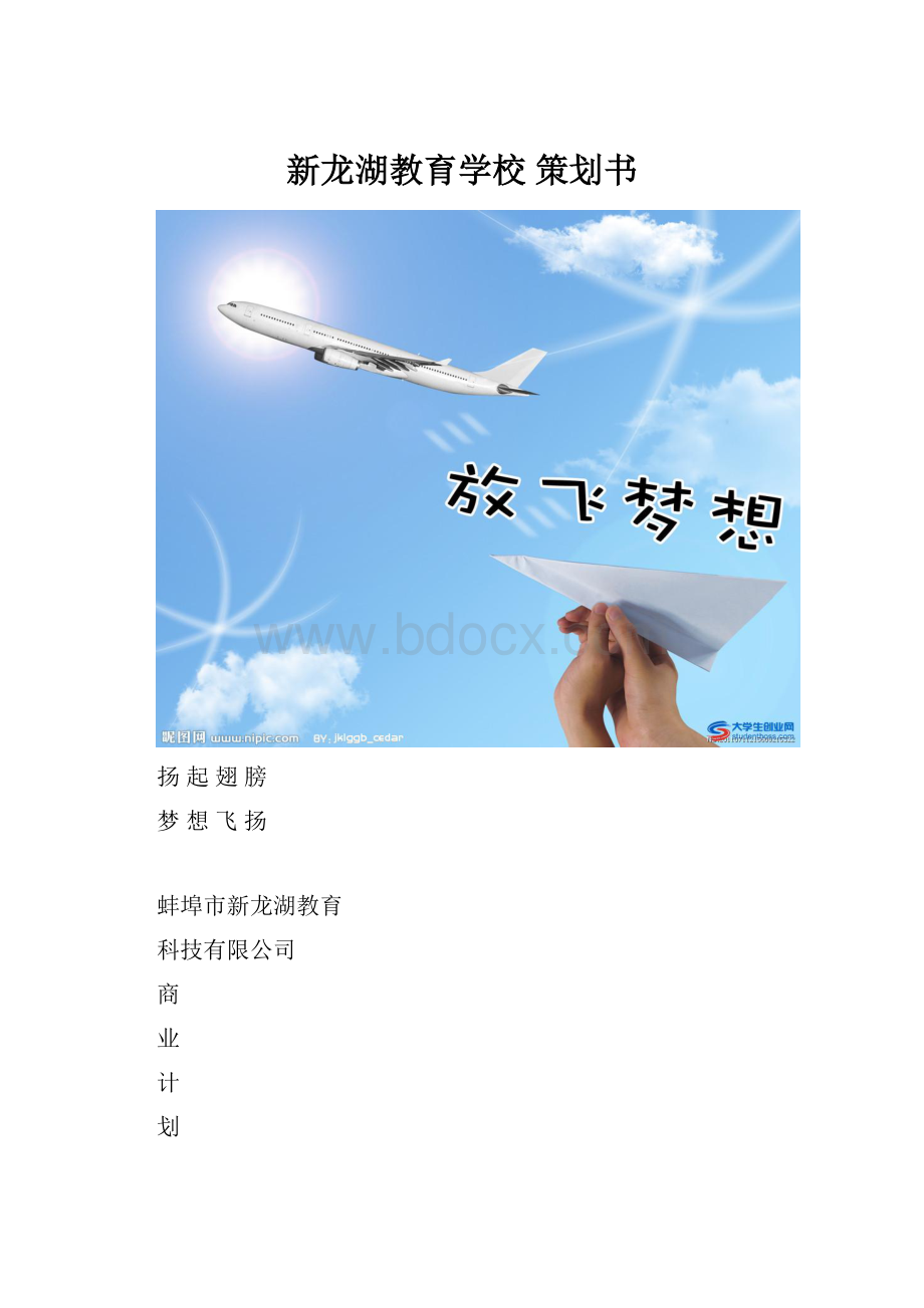 新龙湖教育学校 策划书.docx