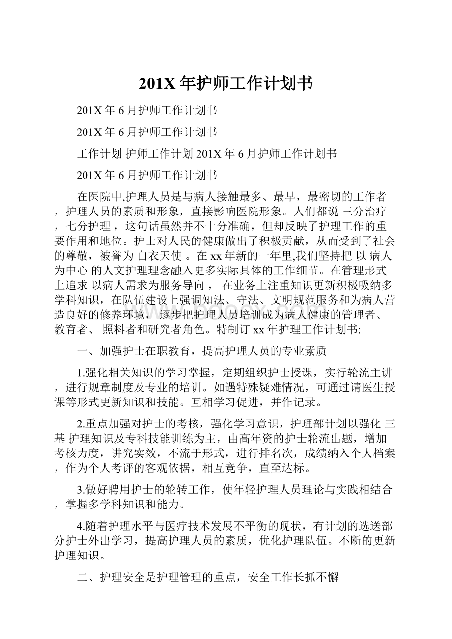 201X年护师工作计划书.docx