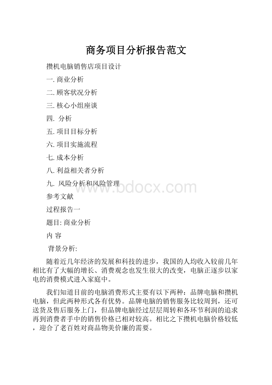 商务项目分析报告范文.docx_第1页