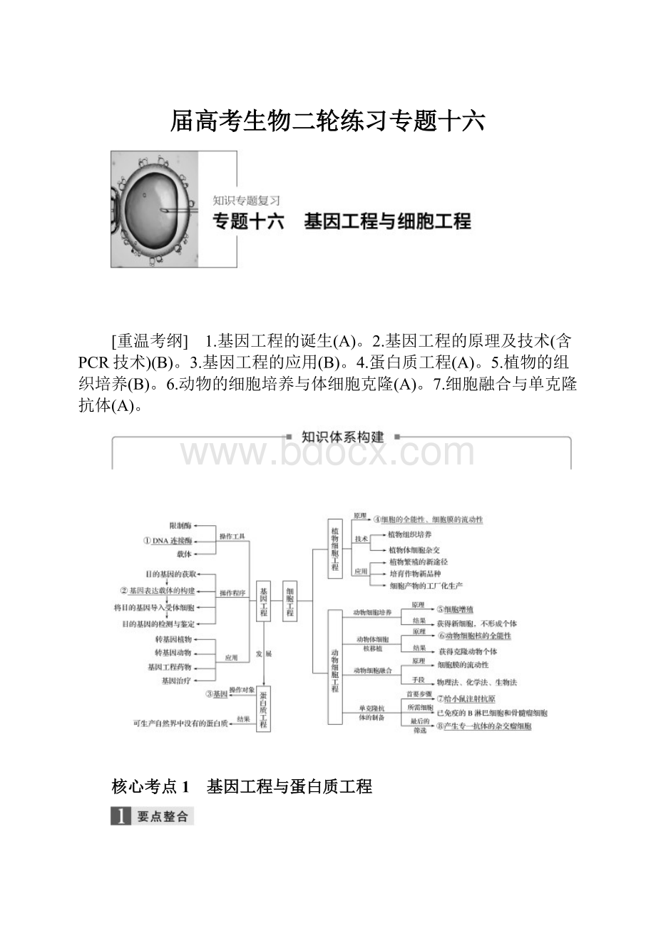 届高考生物二轮练习专题十六.docx