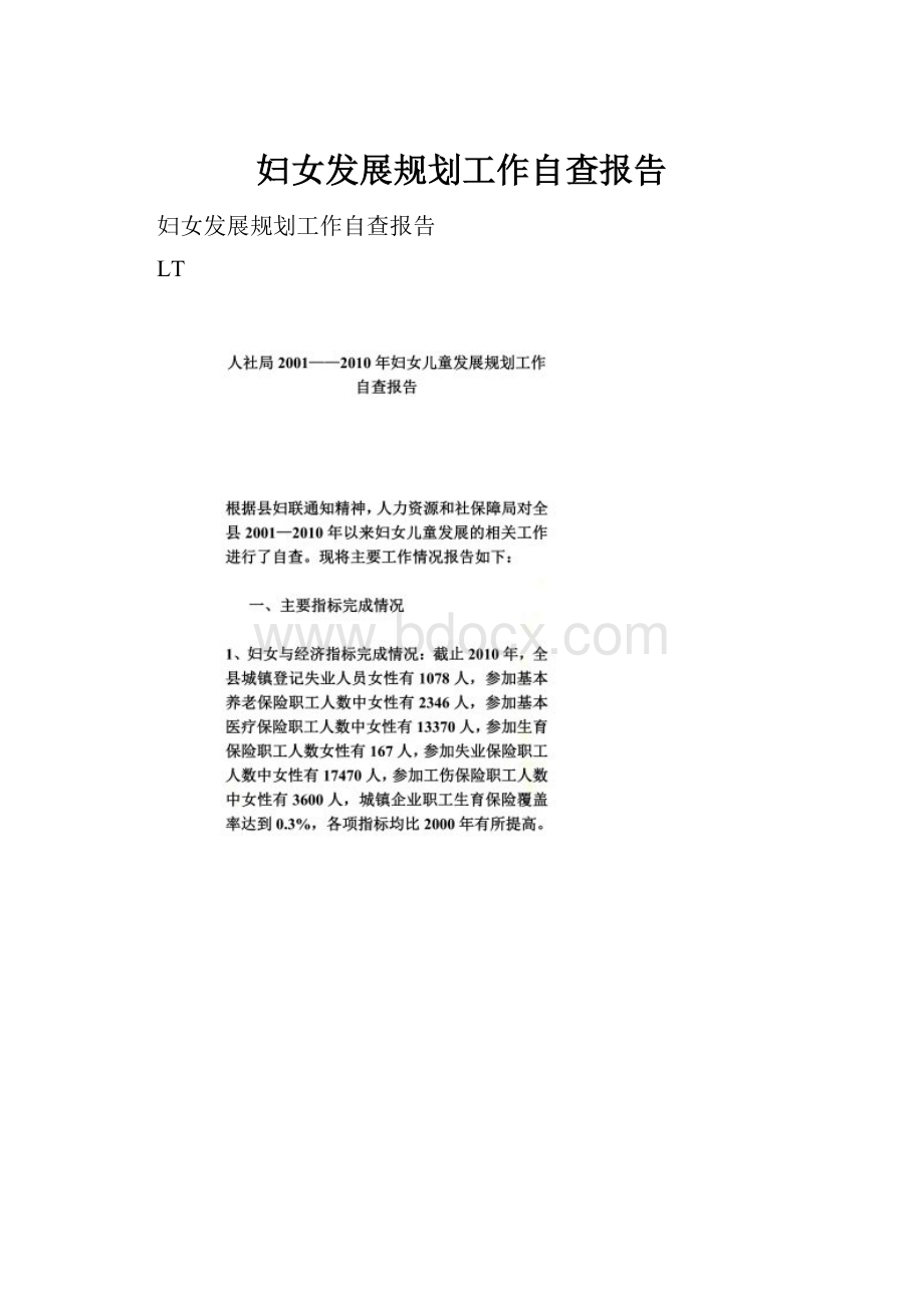 妇女发展规划工作自查报告.docx_第1页