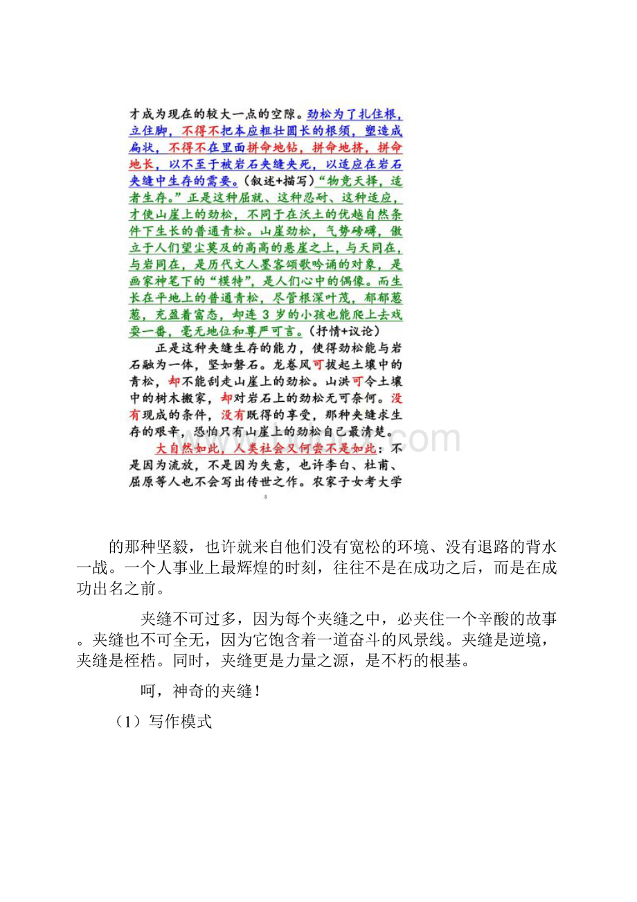 每一个生命都是奇迹作文指导.docx_第3页