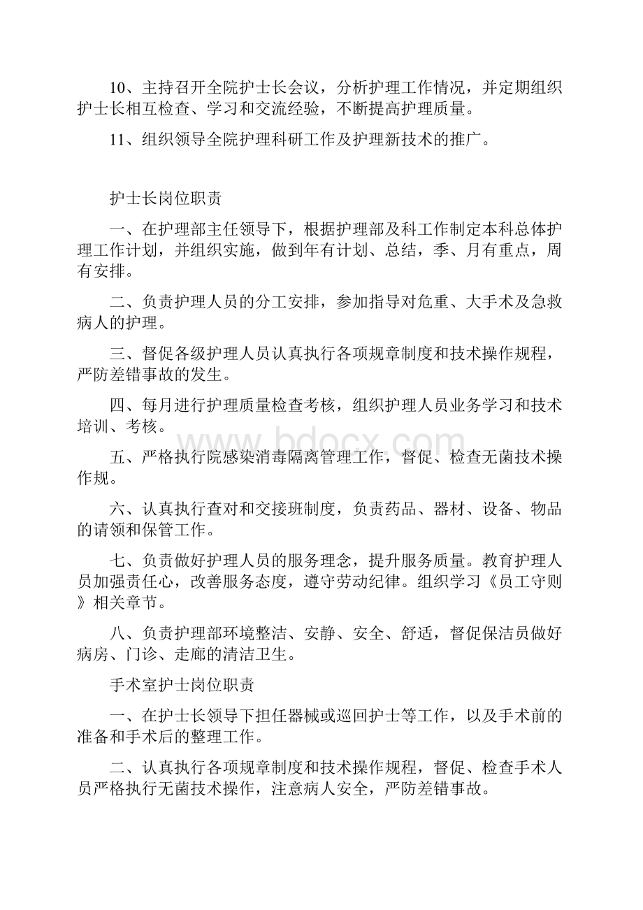 护理系统岗位职责及考核标准Word文档.docx_第2页