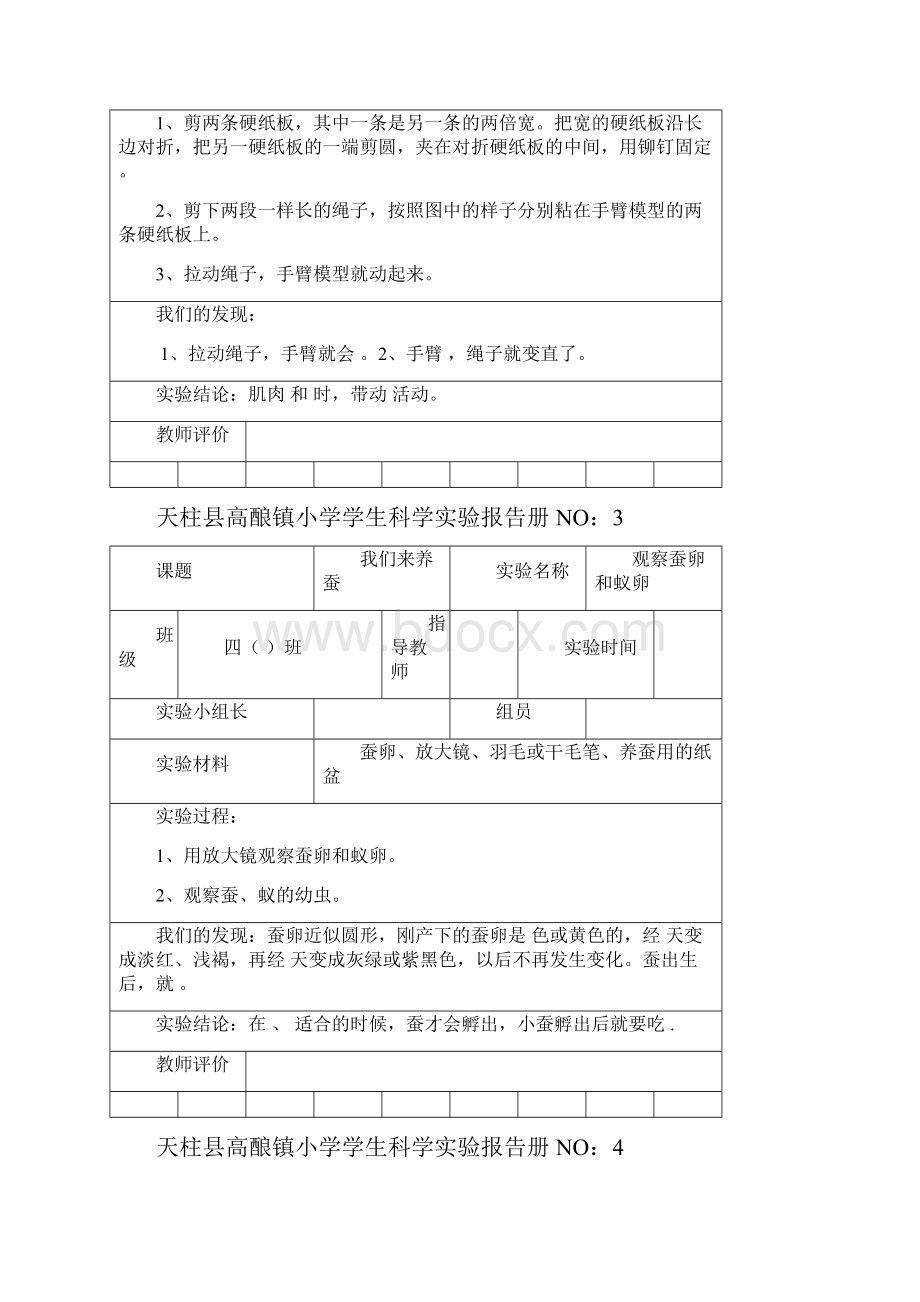 苏教版小学四年级科学下册实验报告册doc.docx_第2页