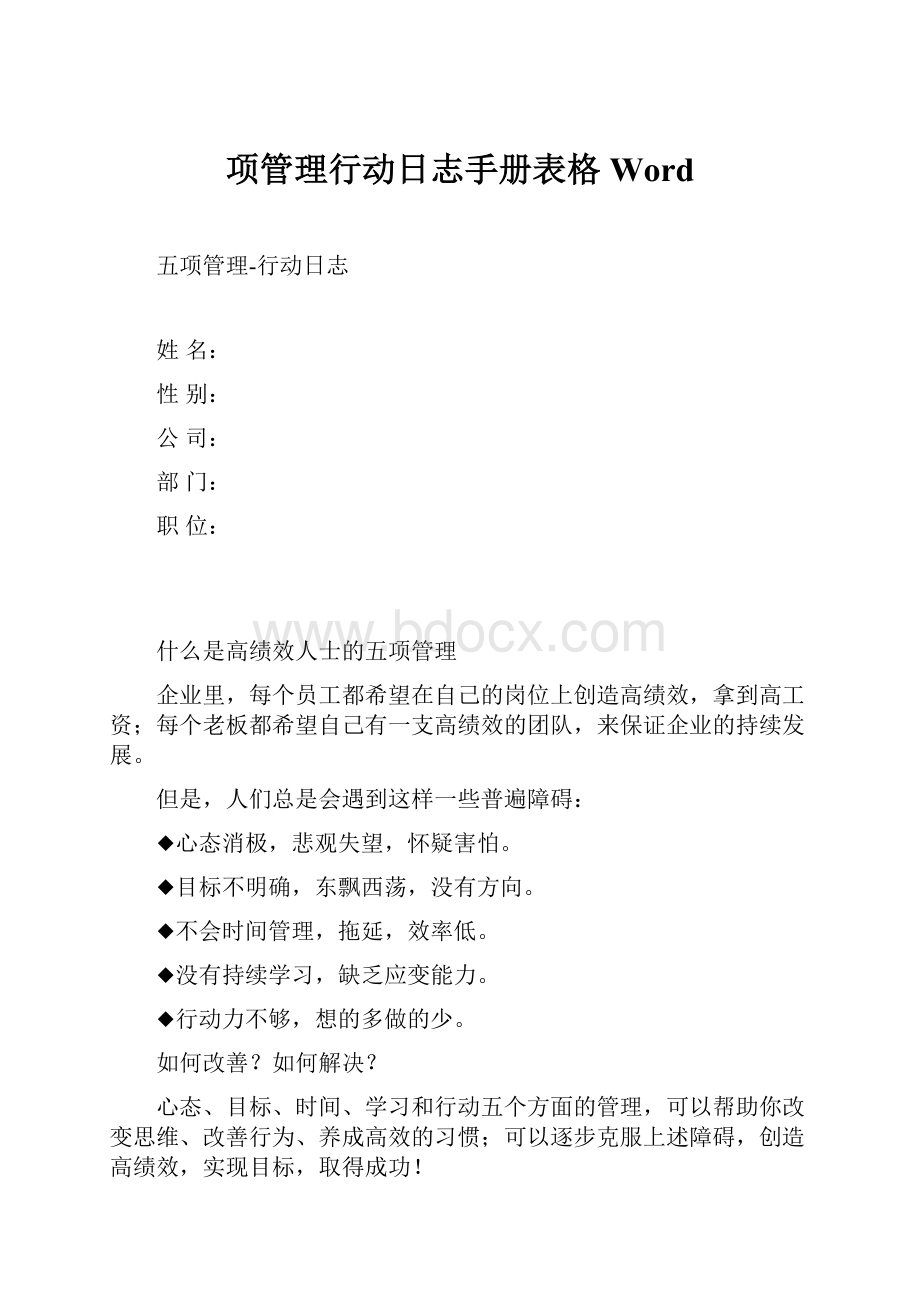 项管理行动日志手册表格Word.docx_第1页