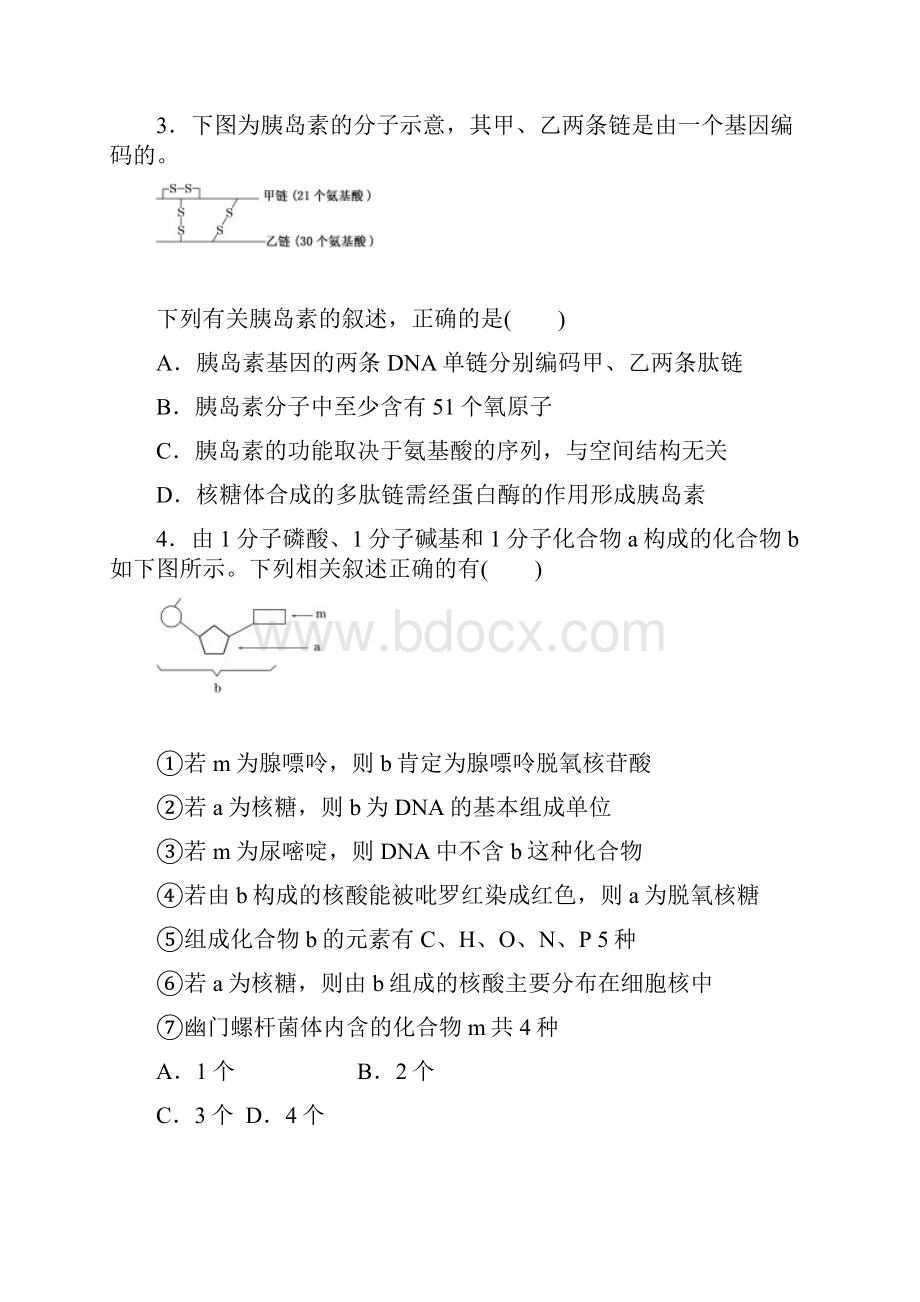 山东省桓台县第二中学届高三月考生物试题.docx_第2页