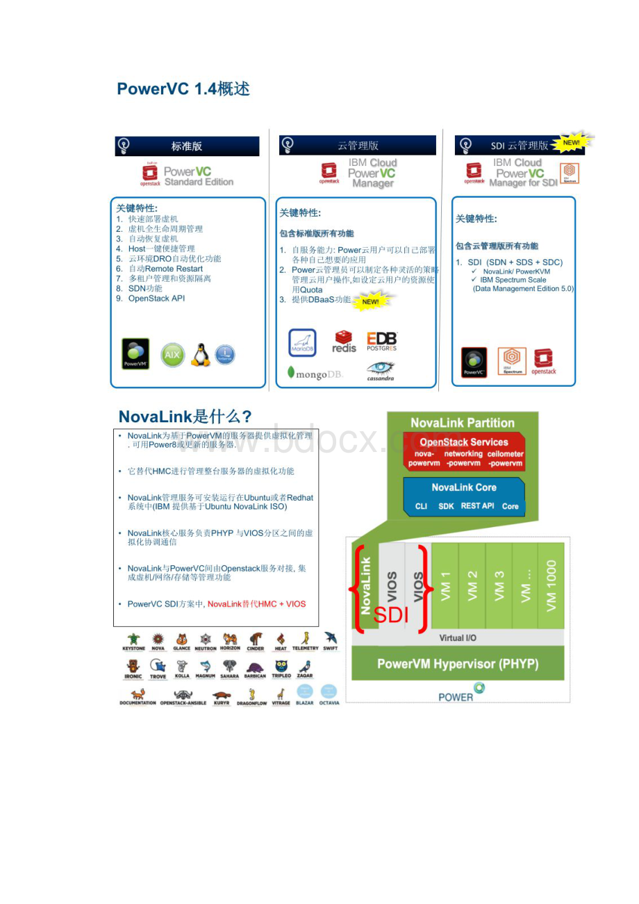 IBM PowerVC平台技术解决方案.docx_第3页