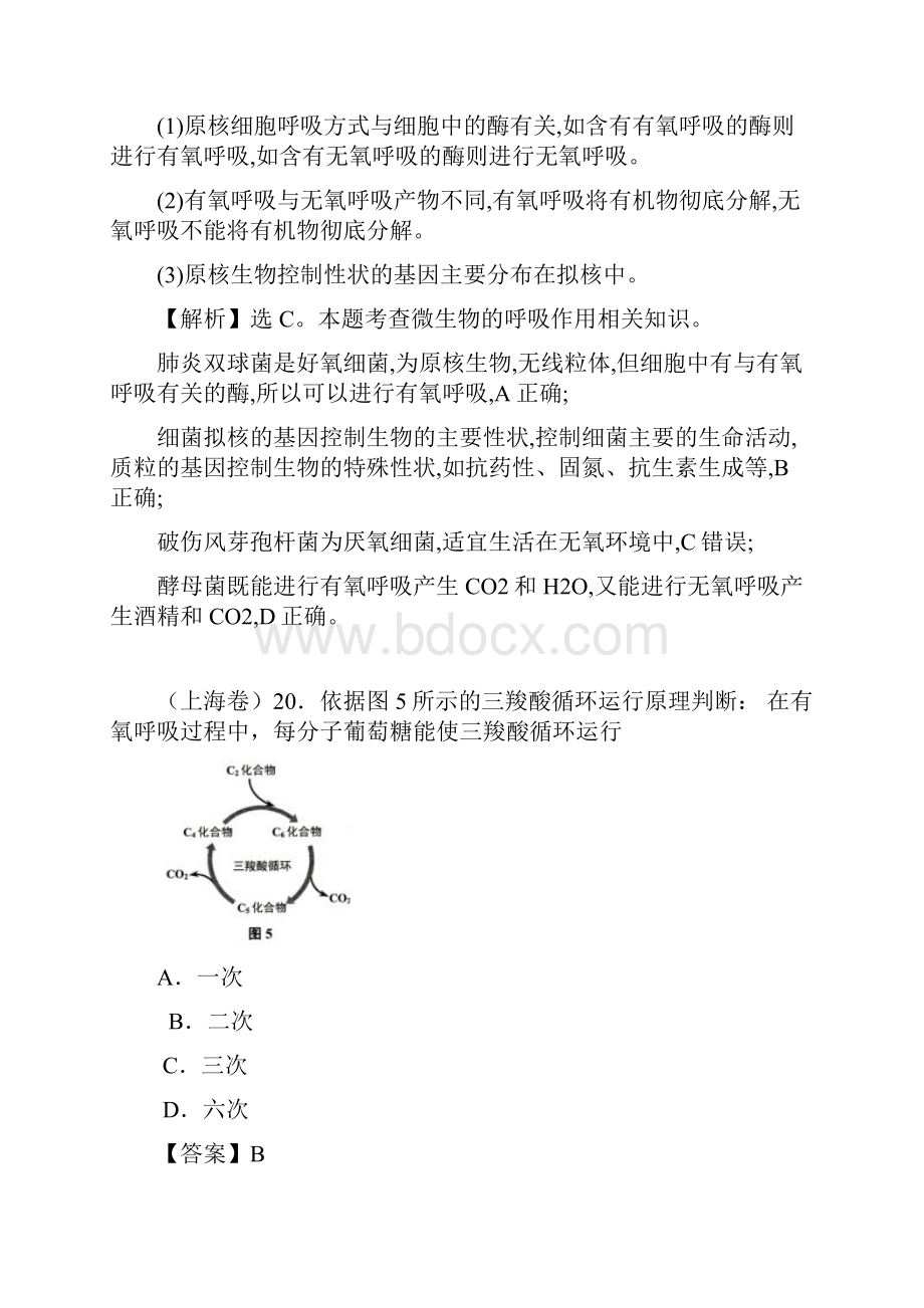 光合 和呼吸考点.docx_第2页