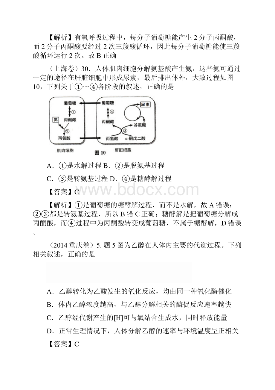 光合 和呼吸考点.docx_第3页