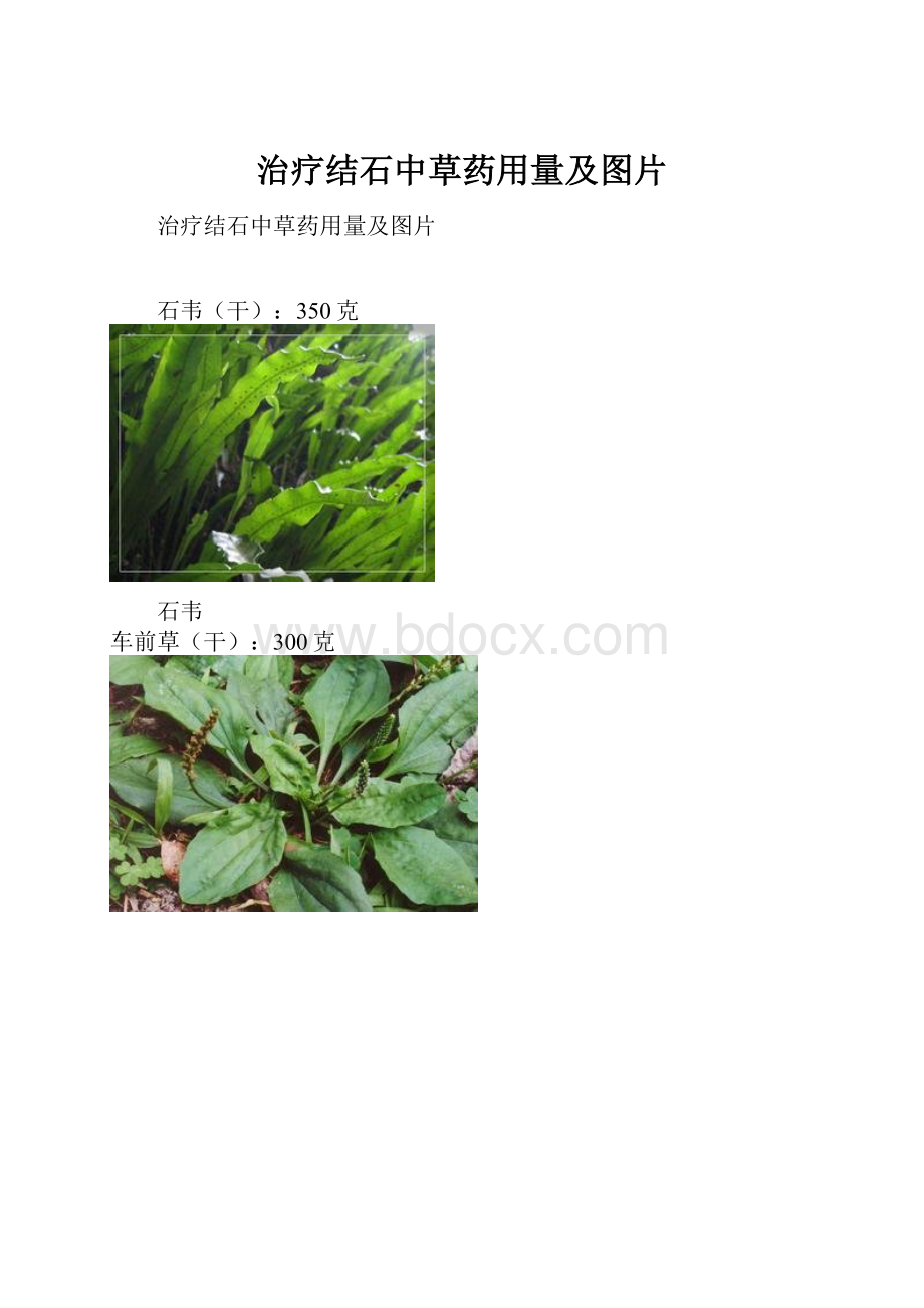 治疗结石中草药用量及图片.docx