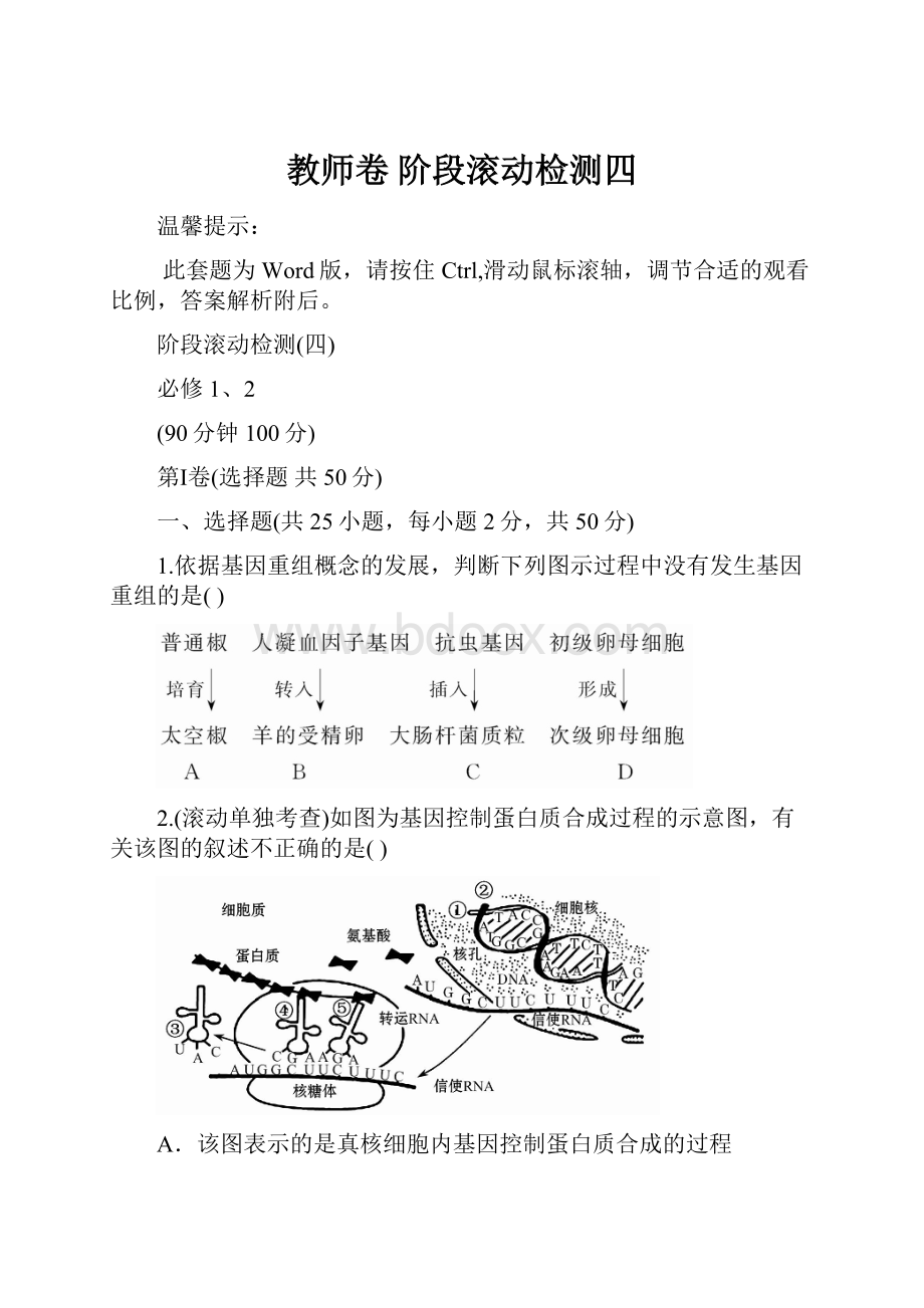 教师卷阶段滚动检测四.docx