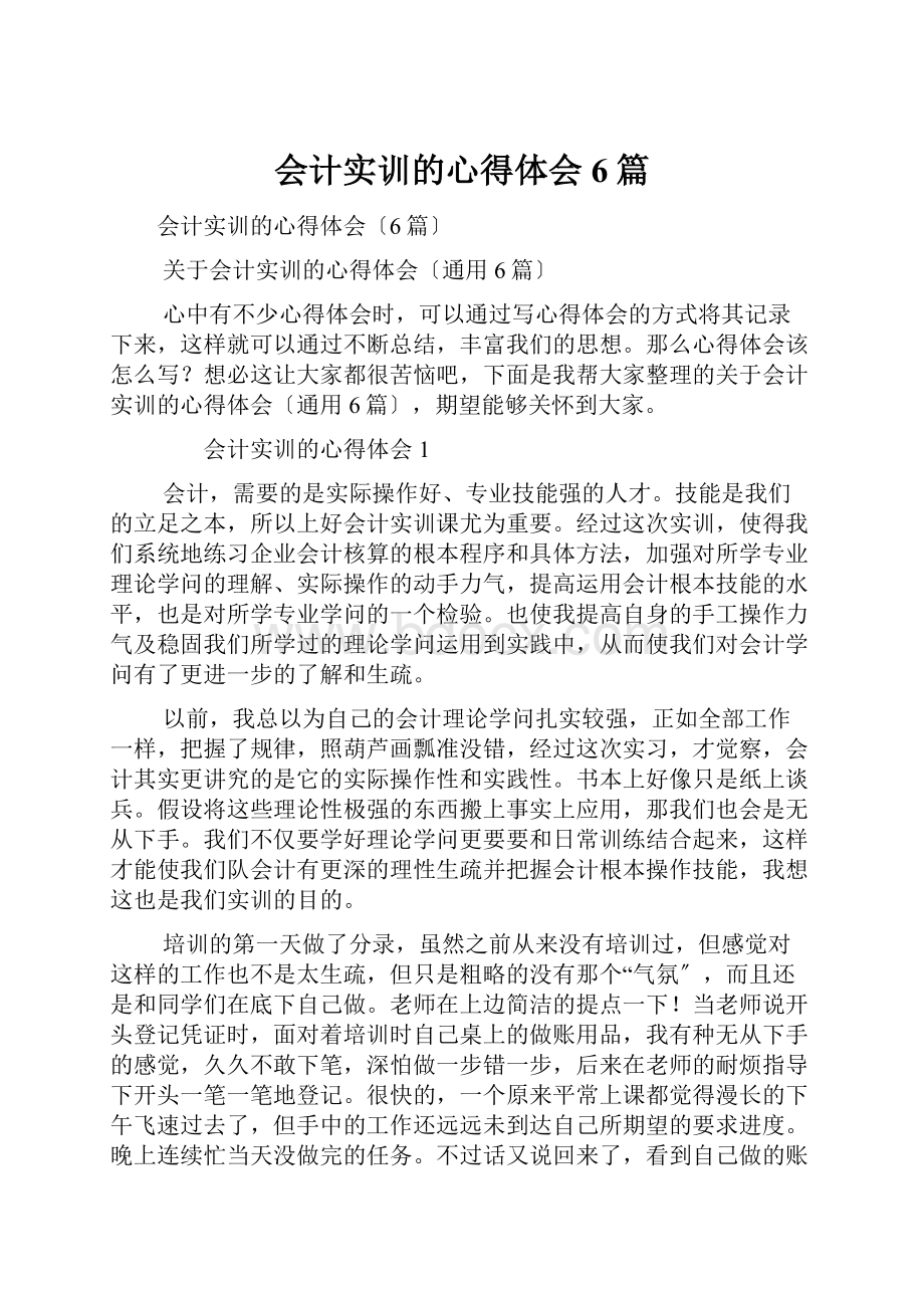 会计实训的心得体会6篇.docx