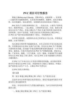 PVC项目可行性报告.docx