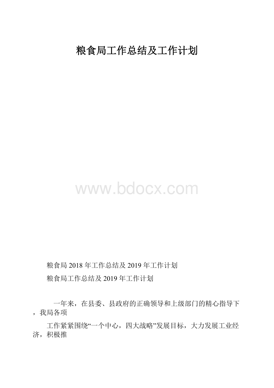 粮食局工作总结及工作计划.docx