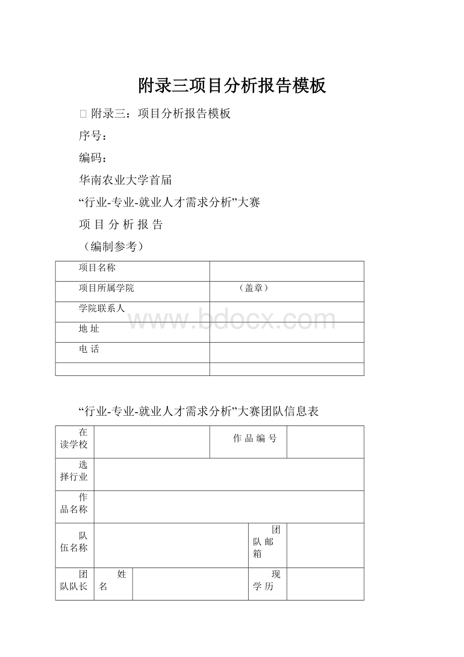 附录三项目分析报告模板.docx_第1页