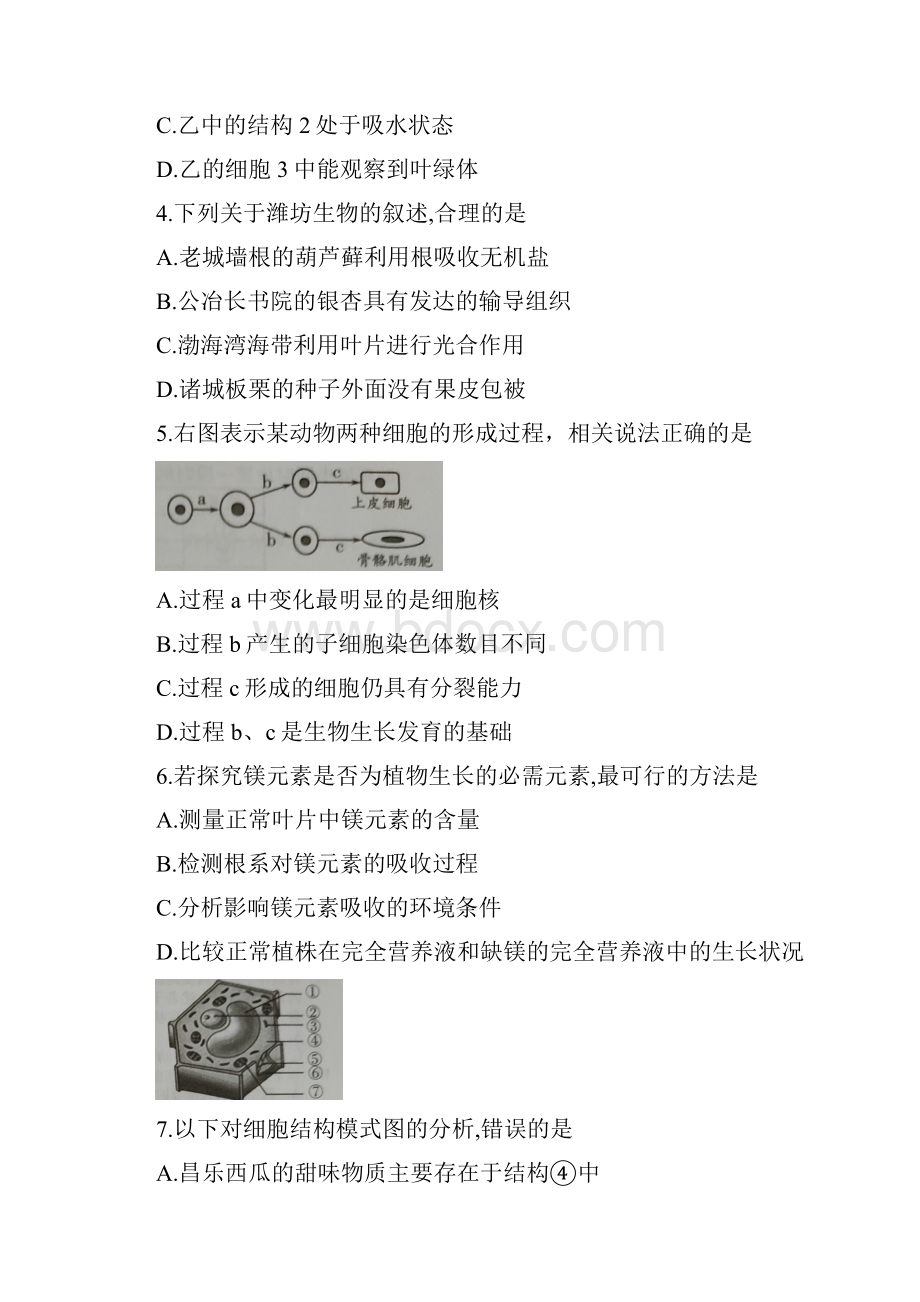 度潍坊市学业水平考试生物试题.docx_第2页