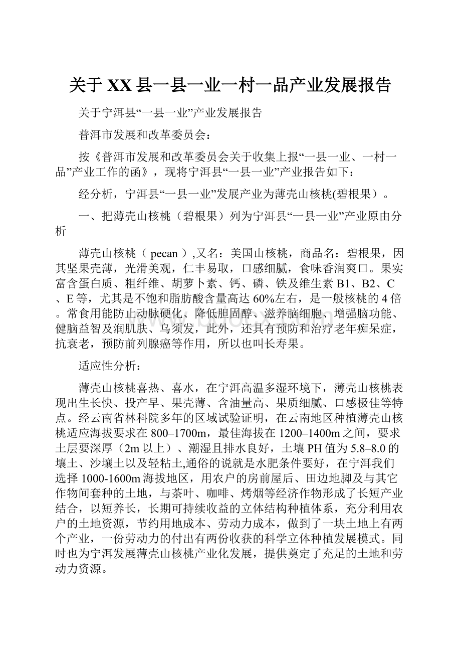 关于XX县一县一业一村一品产业发展报告.docx