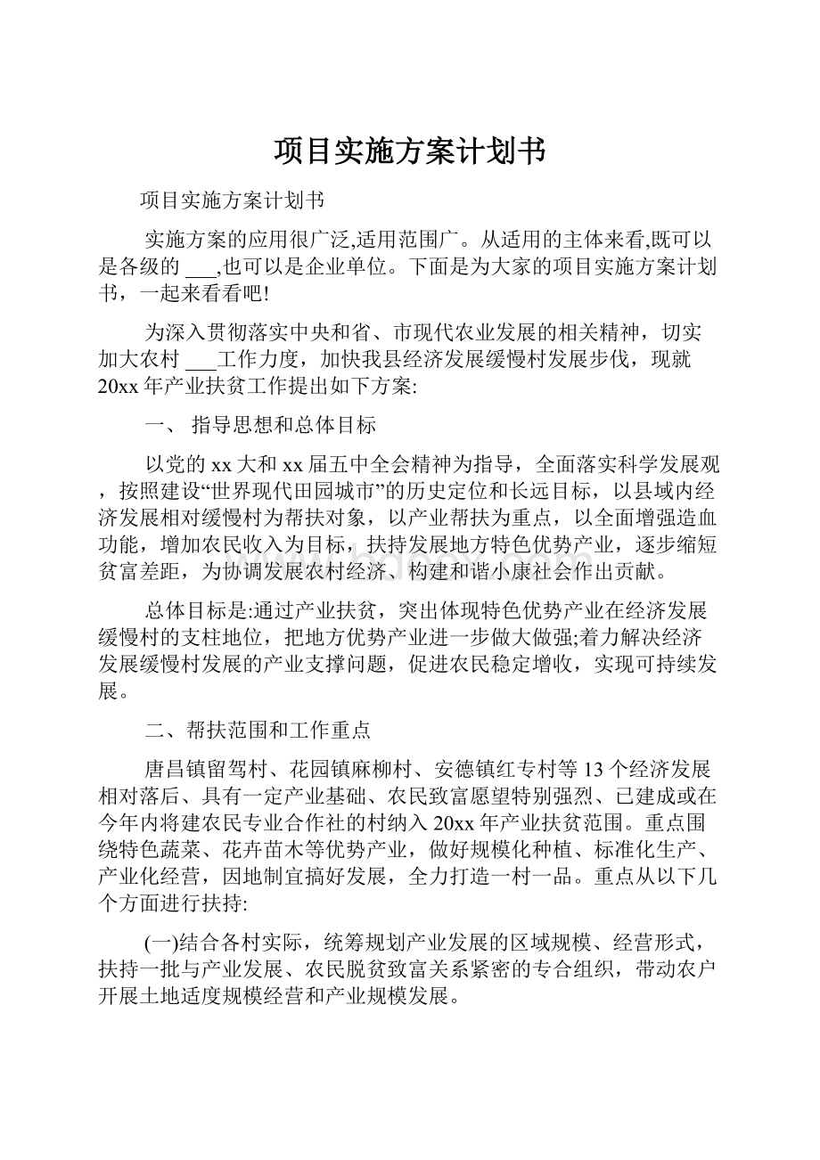 项目实施方案计划书.docx_第1页