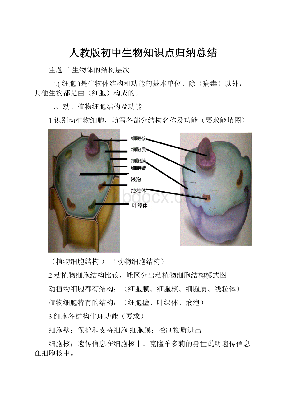 人教版初中生物知识点归纳总结.docx_第1页