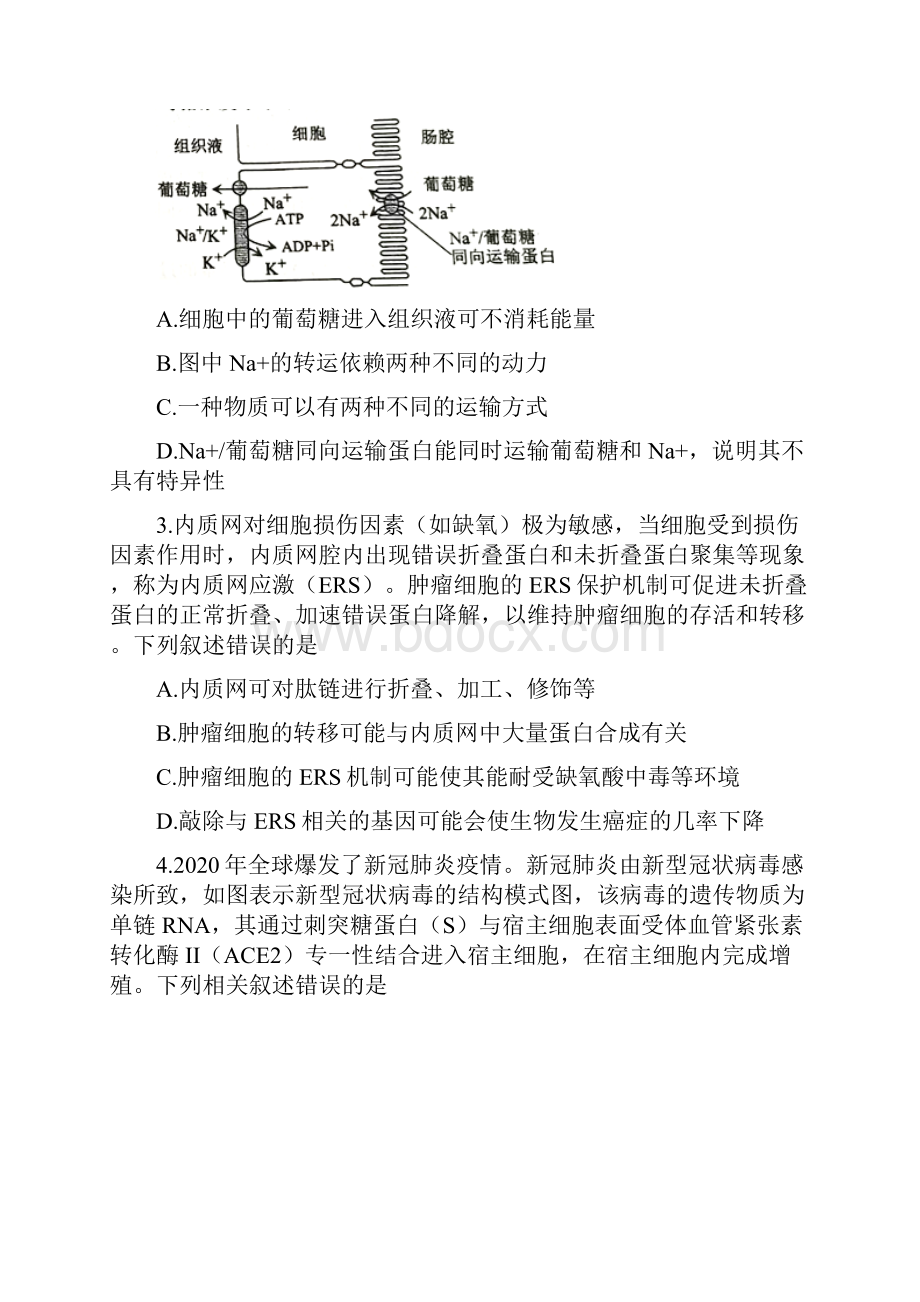 山东省菏泽市届高三联合模拟考试一模生物试题 Word版含答案.docx_第2页