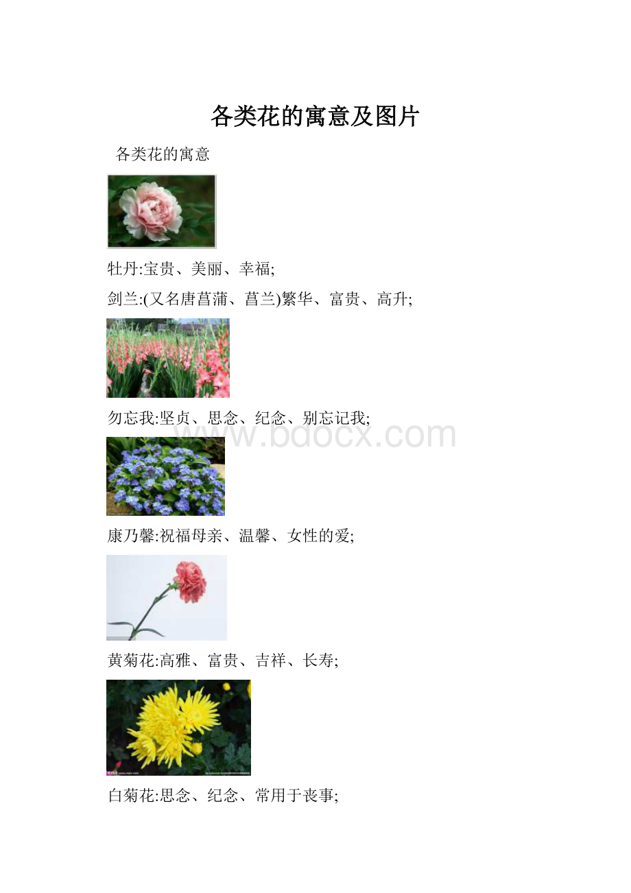 各类花的寓意及图片.docx