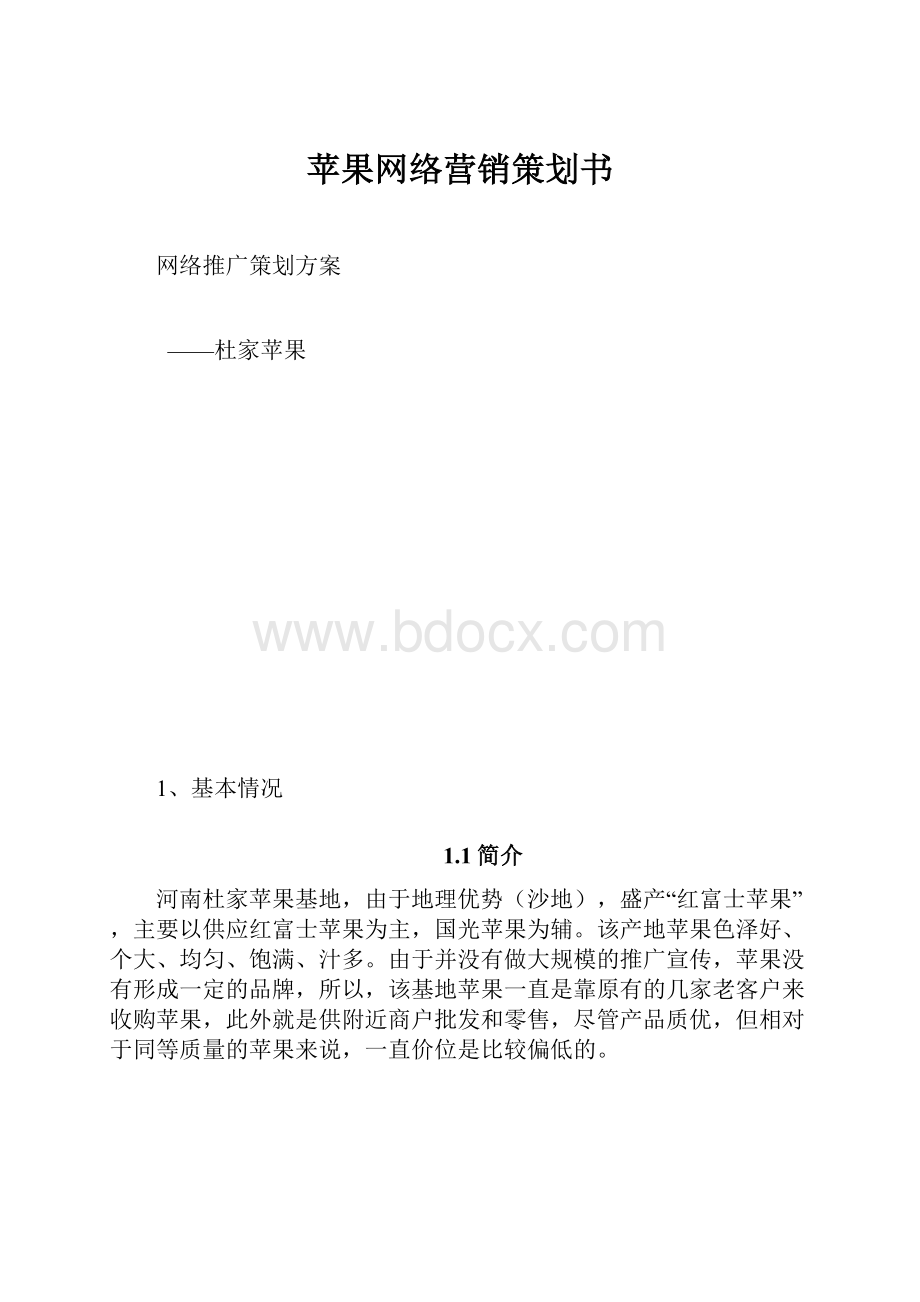 苹果网络营销策划书.docx