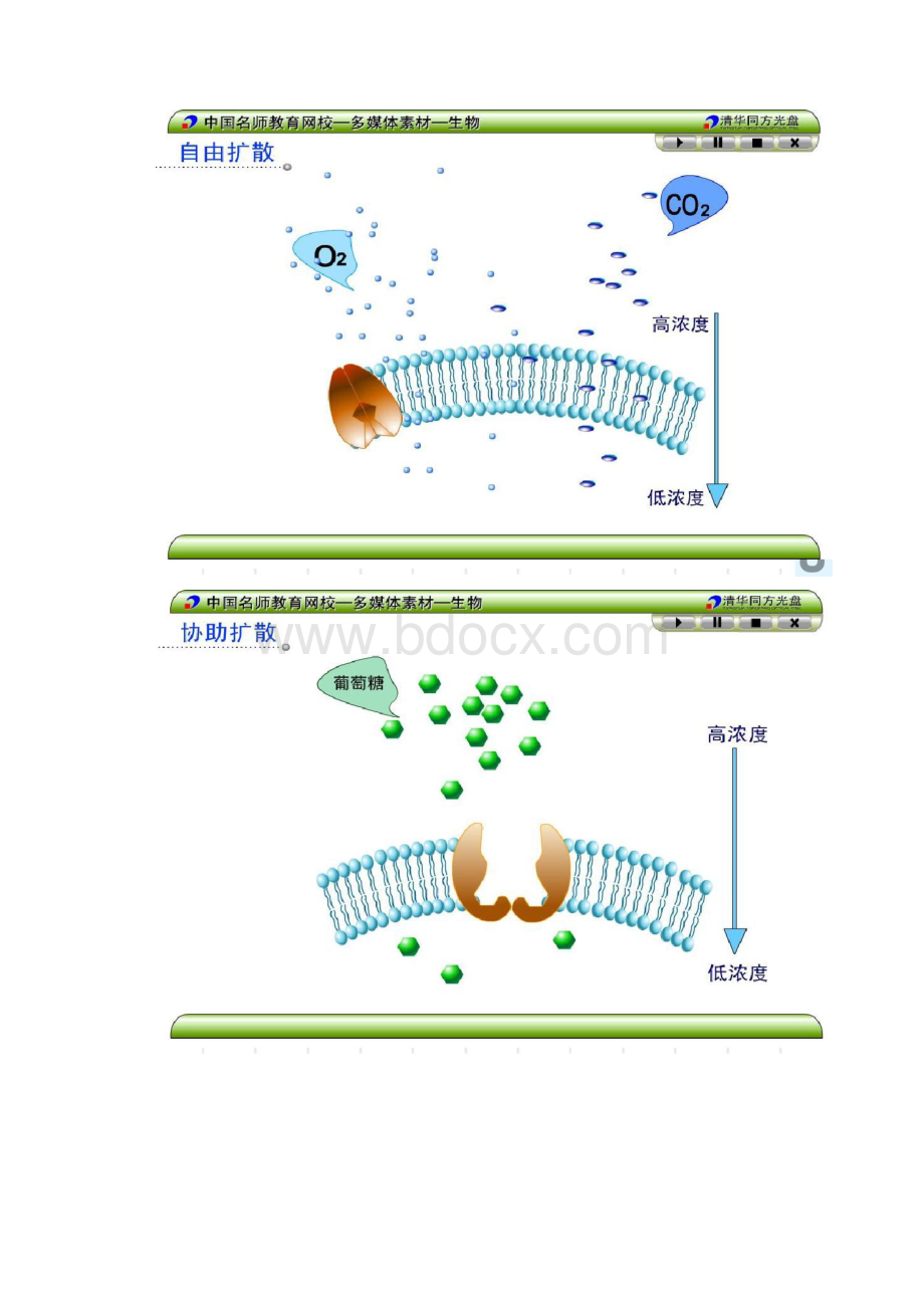 公开课物质跨膜运输的方式ppt解读.docx_第3页