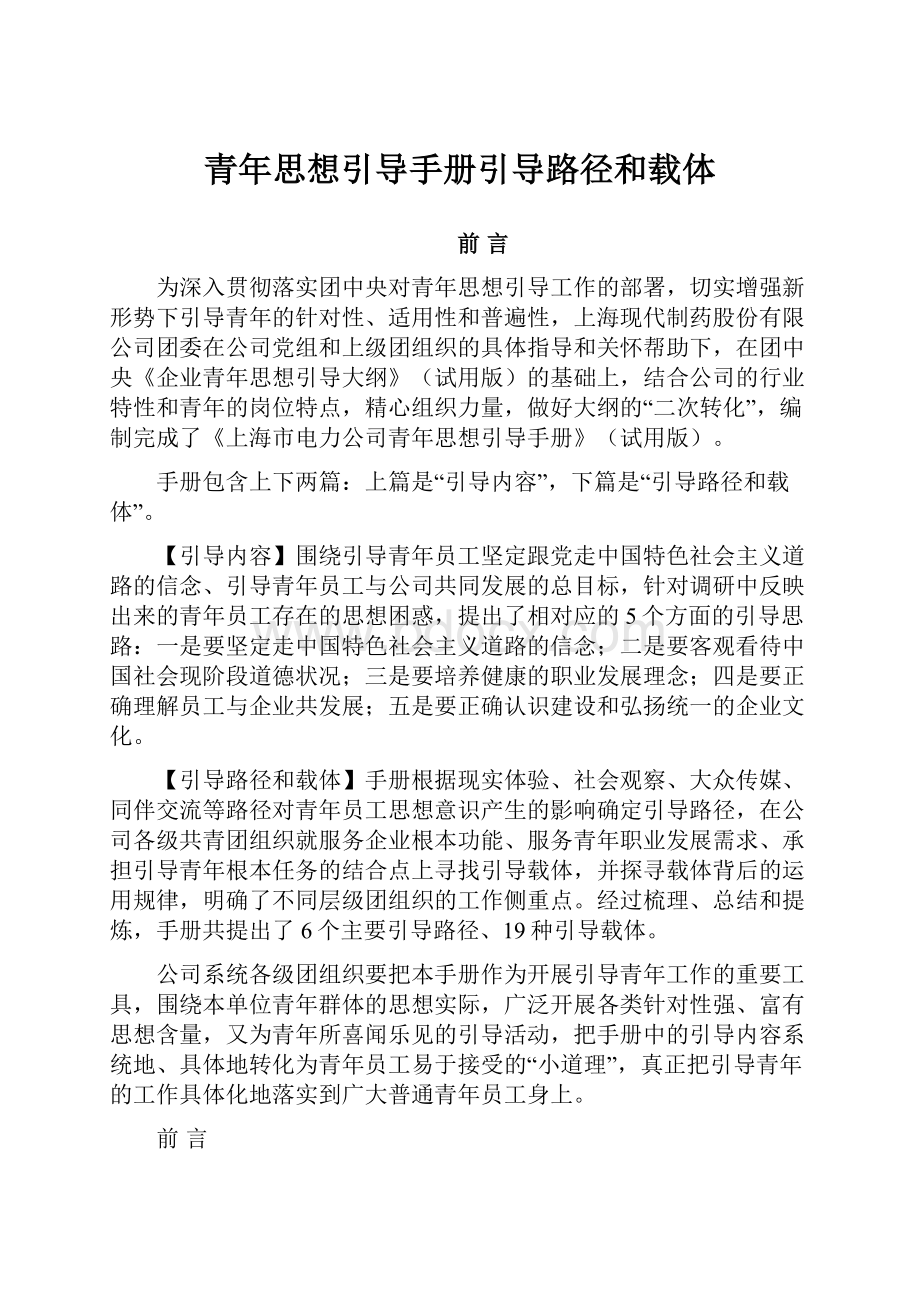 青年思想引导手册引导路径和载体.docx